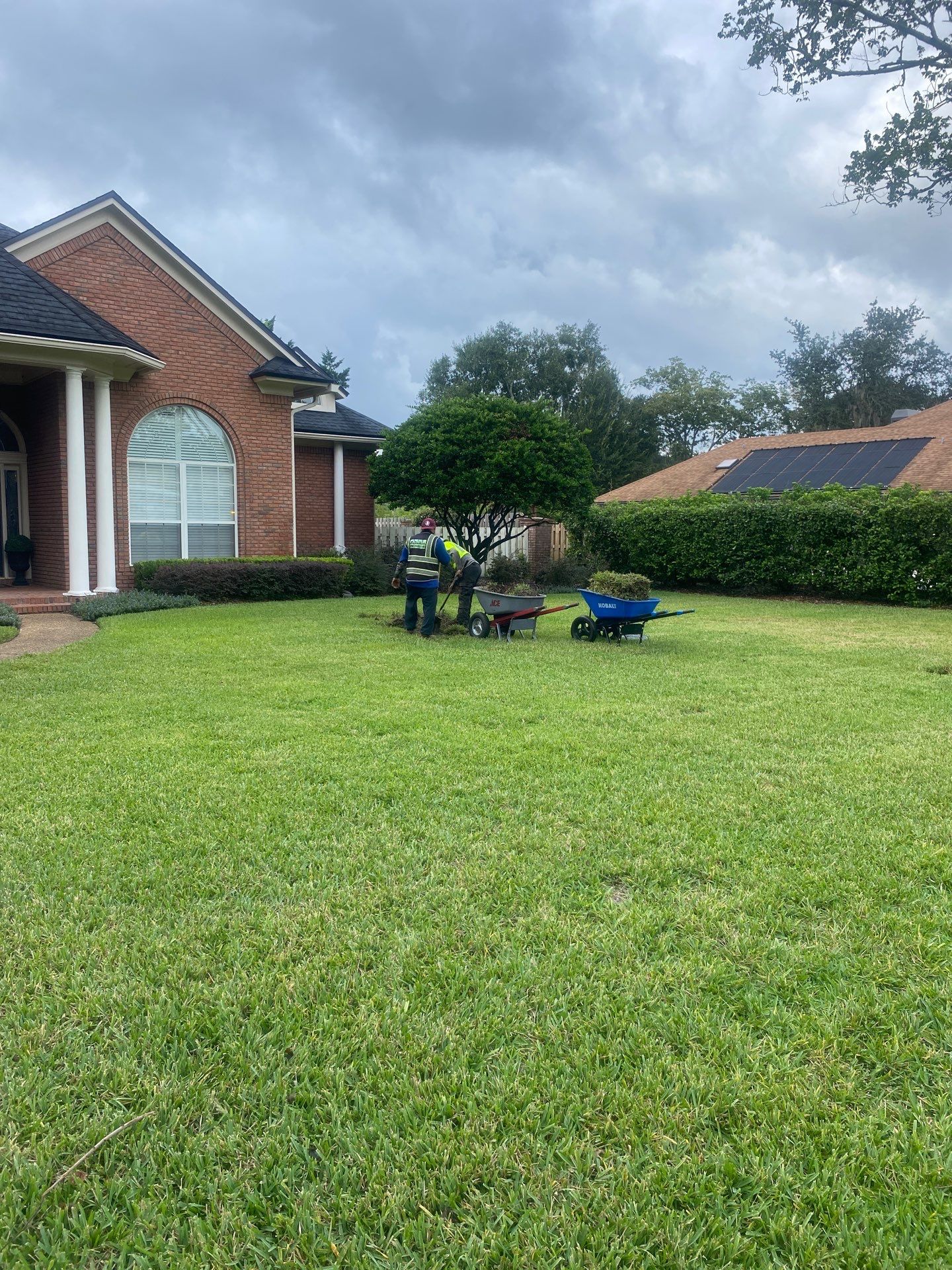 Deerwood Resident | Sod Replacement by ProGreen Services