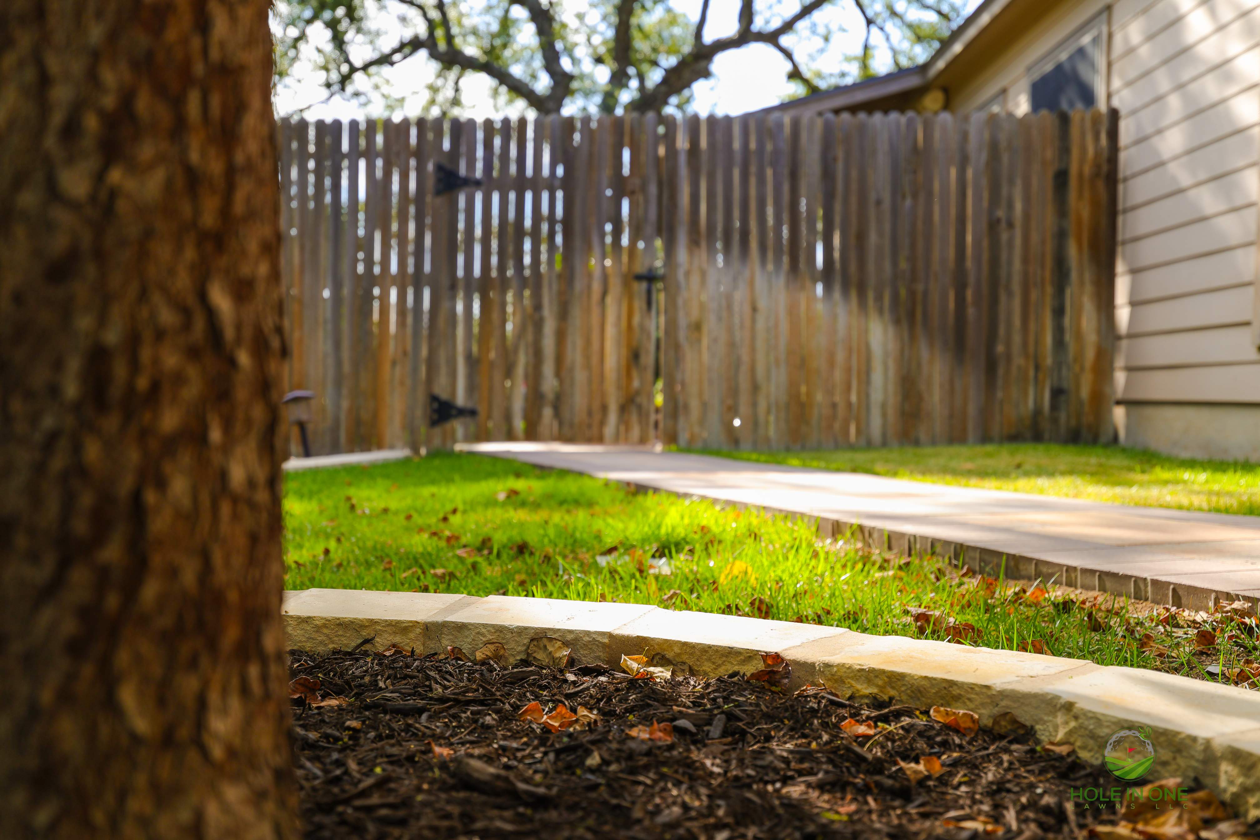 Wortham Oak, San Antonio TX by Hole In One Lawns, LLC
