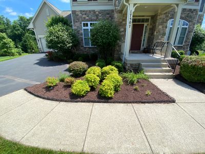 Landscape Cleanup & Mulch