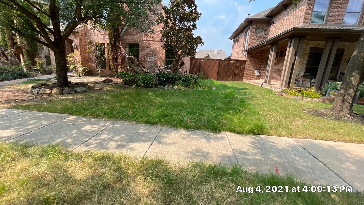 Fire Restoration project by Springtree Restoration 
