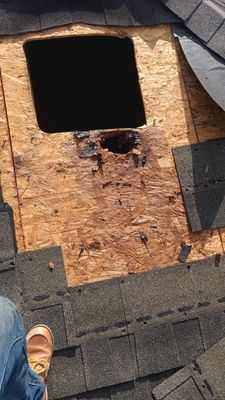 Hail Damage using Owen's Corning Duration (Lifetime) Shingles
