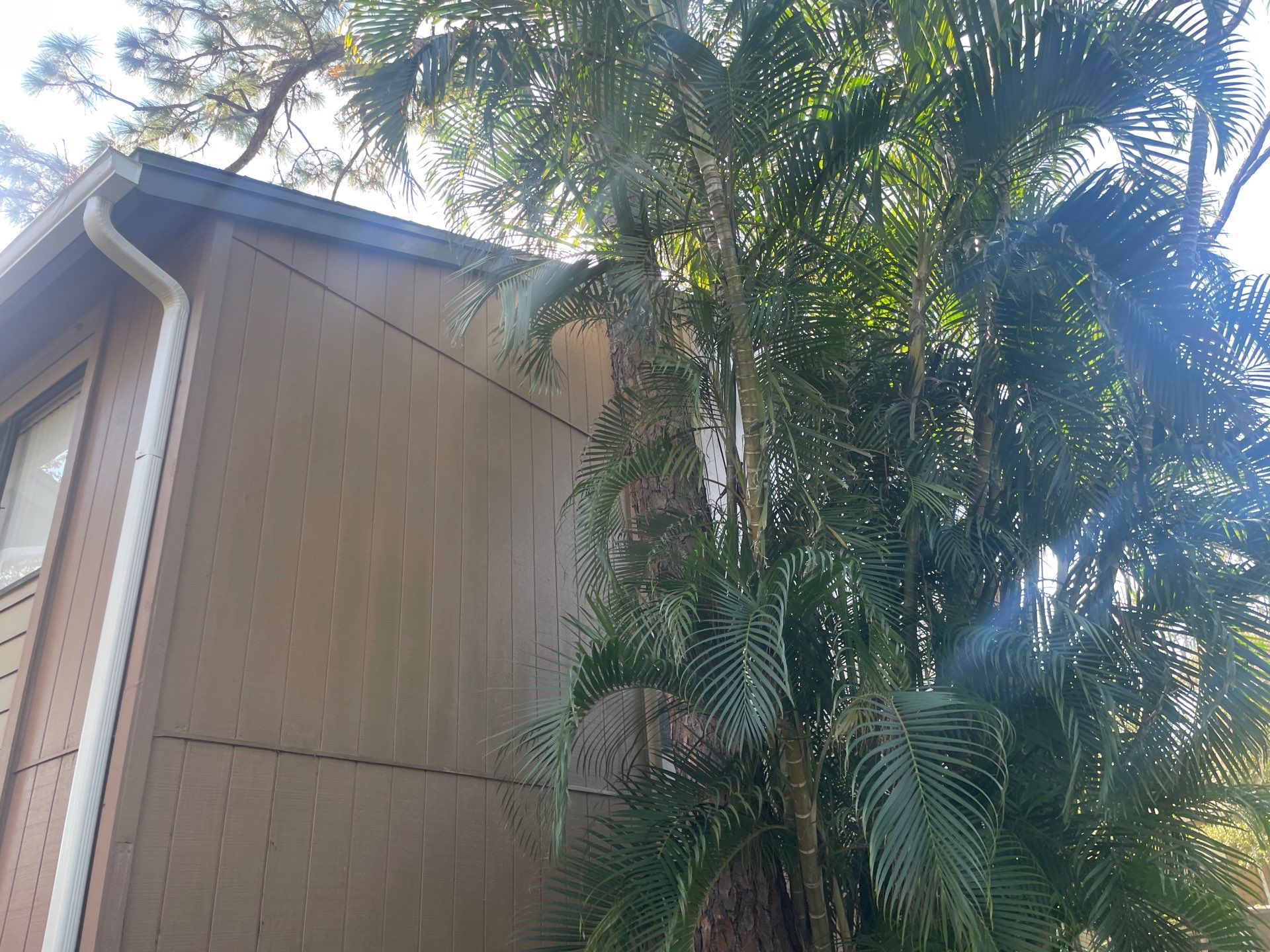 Clean Gutters and Roof in Sarasota FL by Gutter Professors