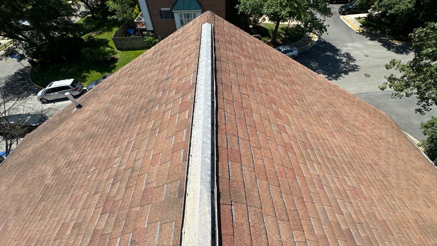Alexandria: Roof Replacement with CertainTeed Landmark Pro in Max Def Burnt Sienna by RM Banning, Inc.