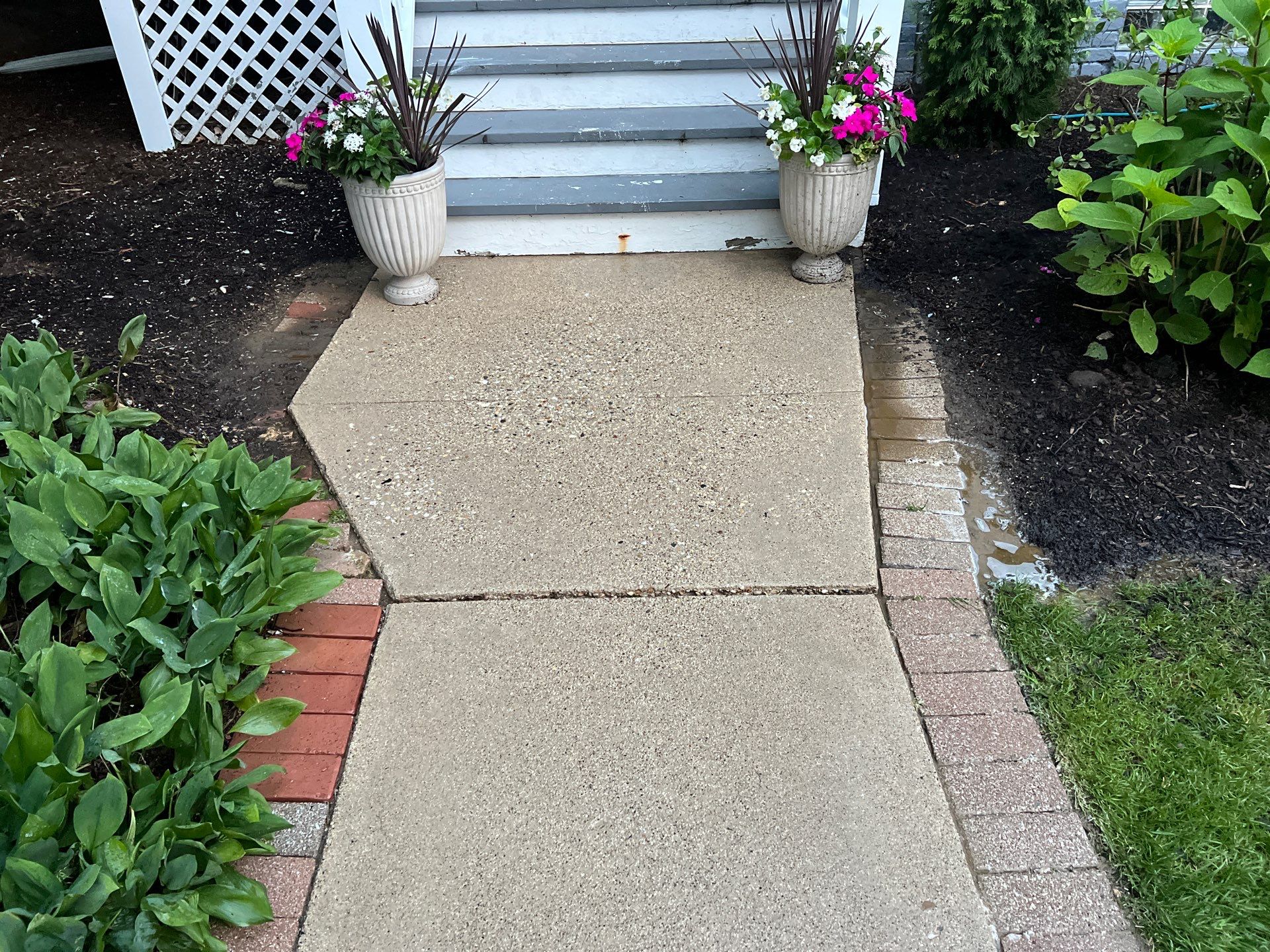 concrete cleaning using Algaecide, soft wash soap by Northern Power Washing LLC.
