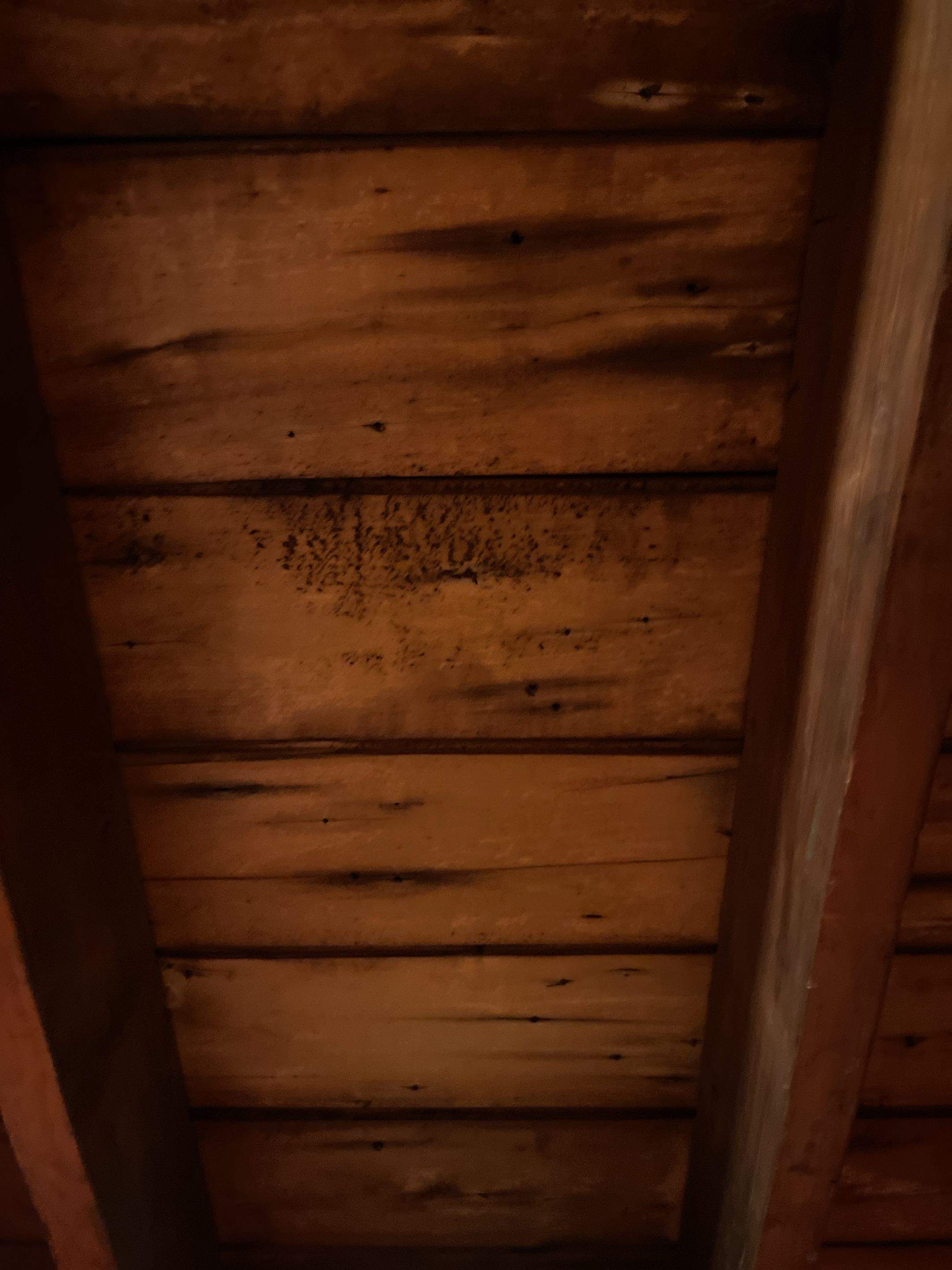 Residential Roofing Installation using Owens Corning TruDefinition Slatestone Gray by A Plus Exterior