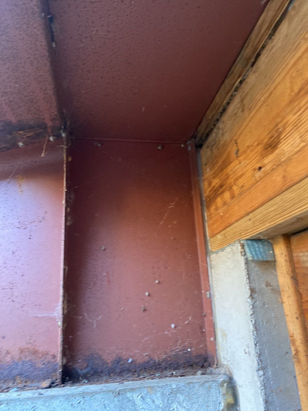 Basement Remodel using Bilco Basement Door by A Plus Exterior