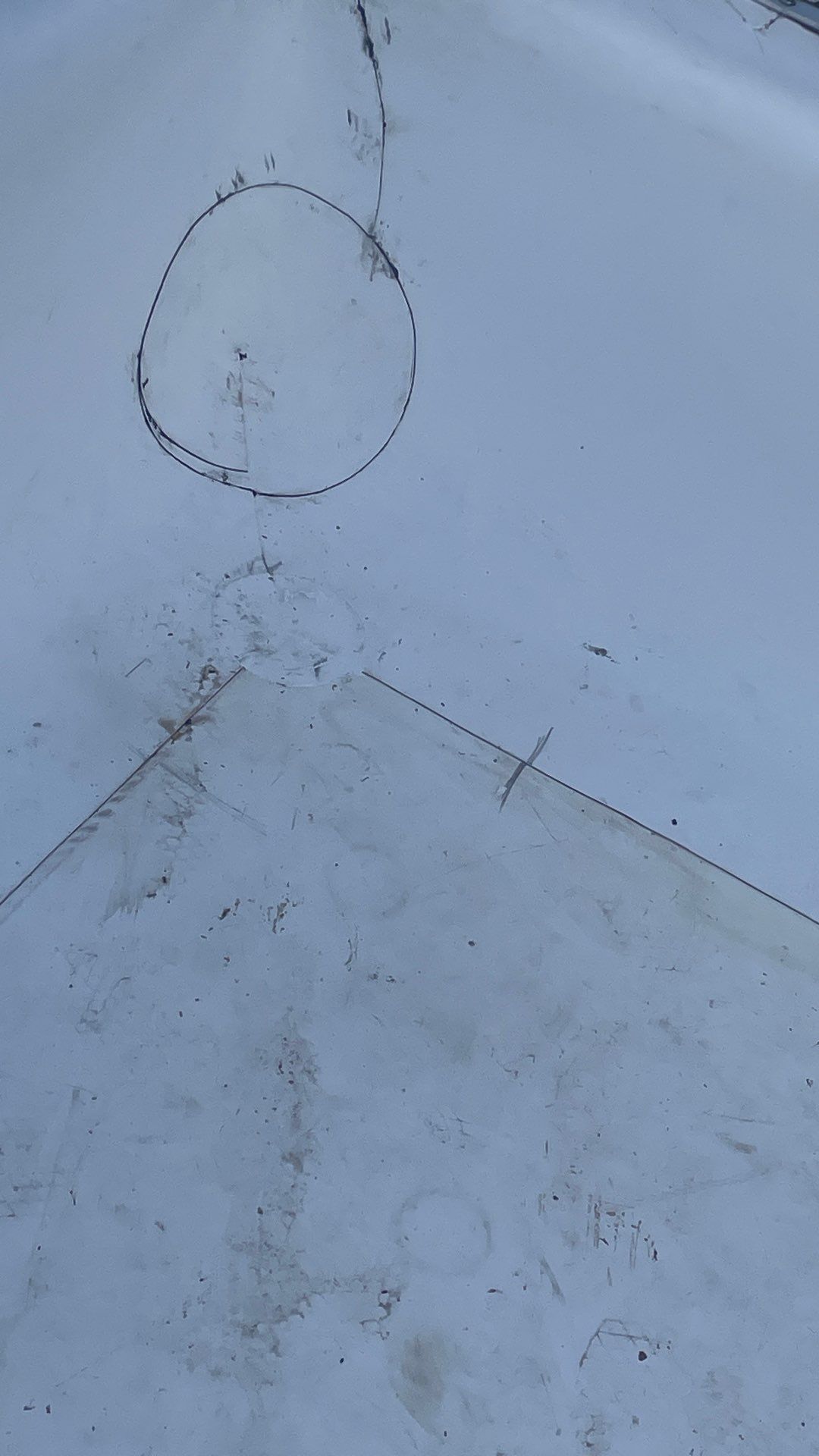 Problems in Paradise  by Bayfront Roofing and Construction
