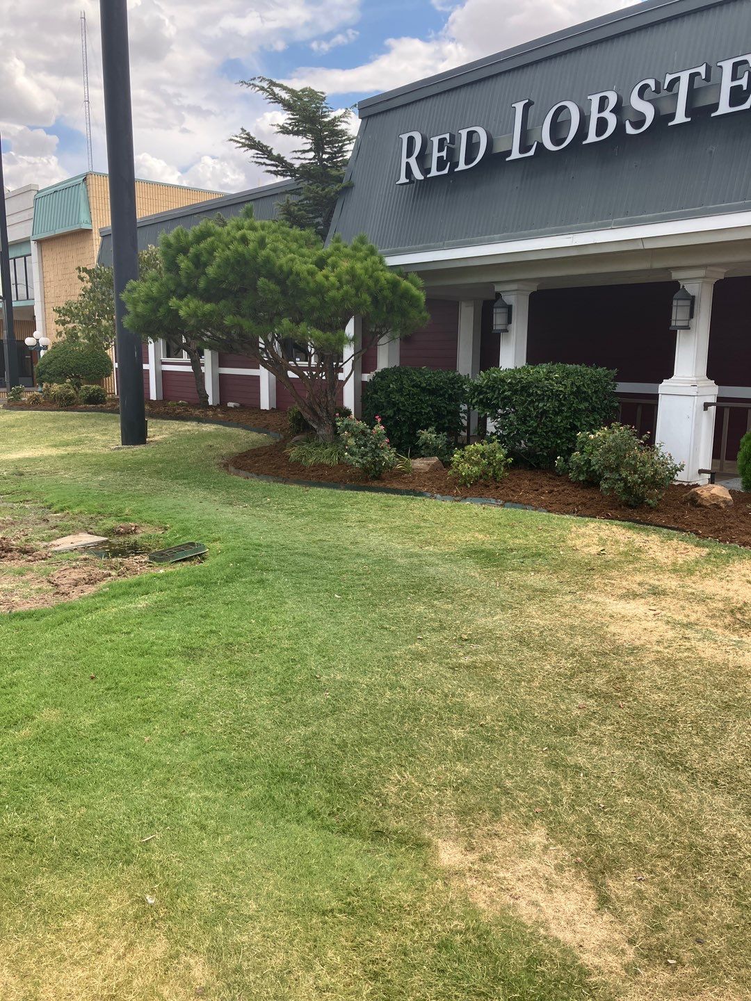 Mulch Replacement using Grade A Cedar by Clays Services Inc