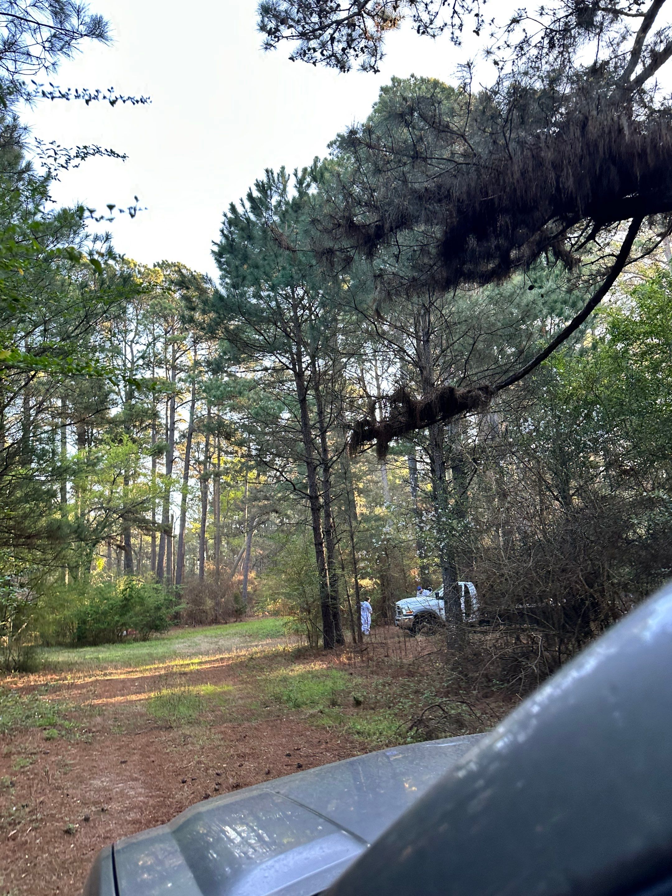 Tree Farm Apiary by Rockwall Honey Bee Company