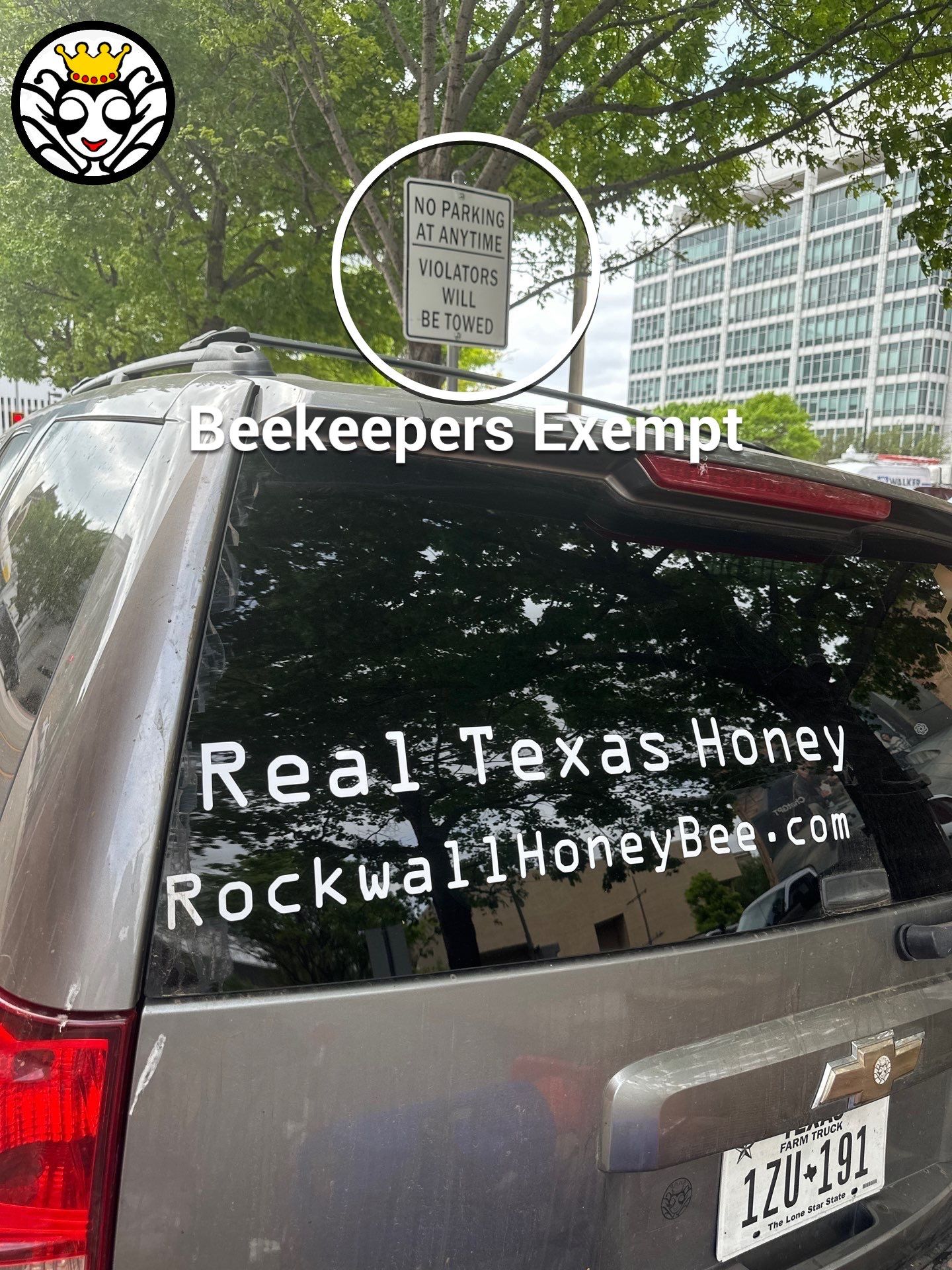 Downtown Dallas by Rockwall Honey Bee Company