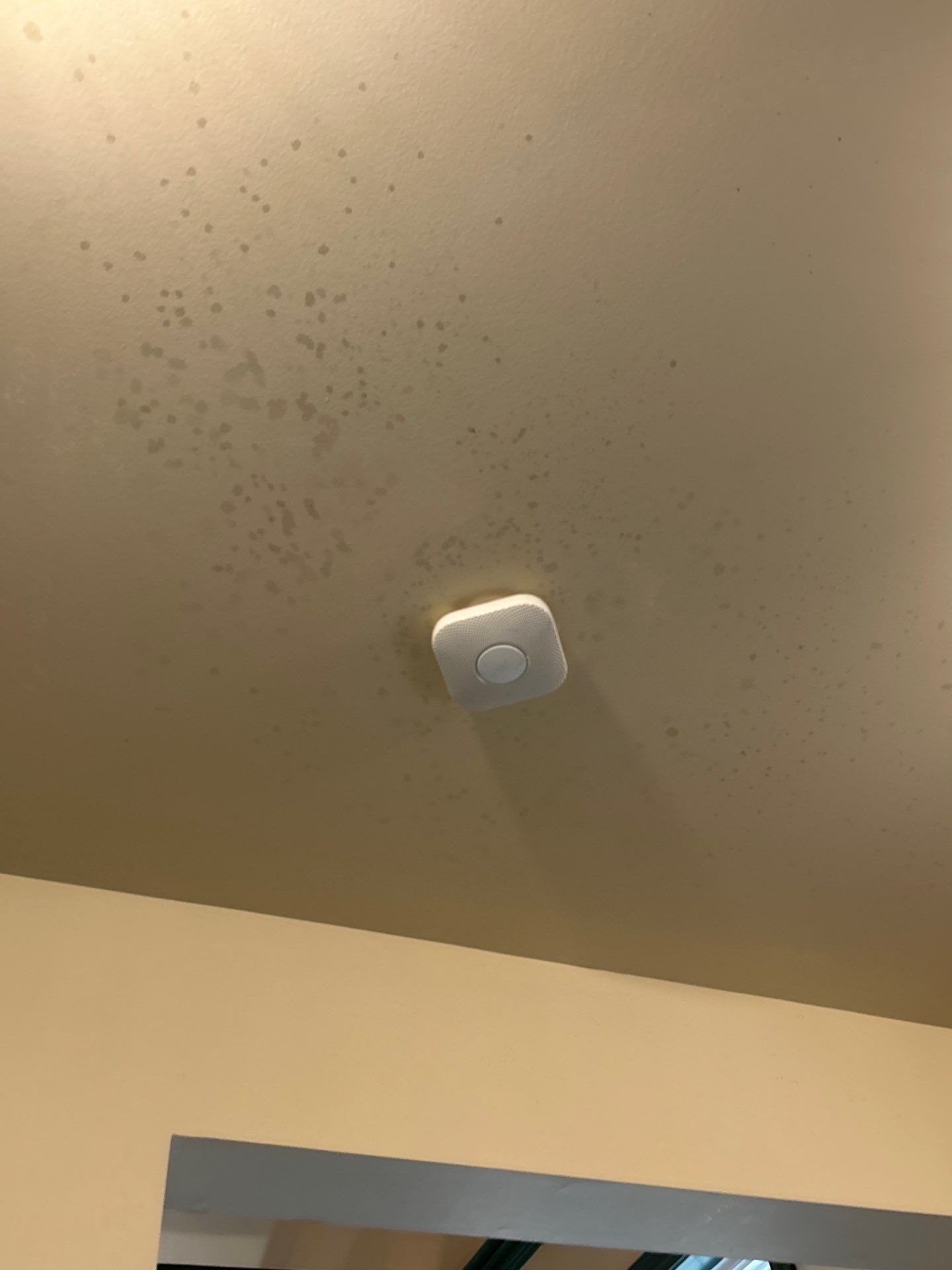 Commercial Interior Painting in Gainesville, MD by My Painter 