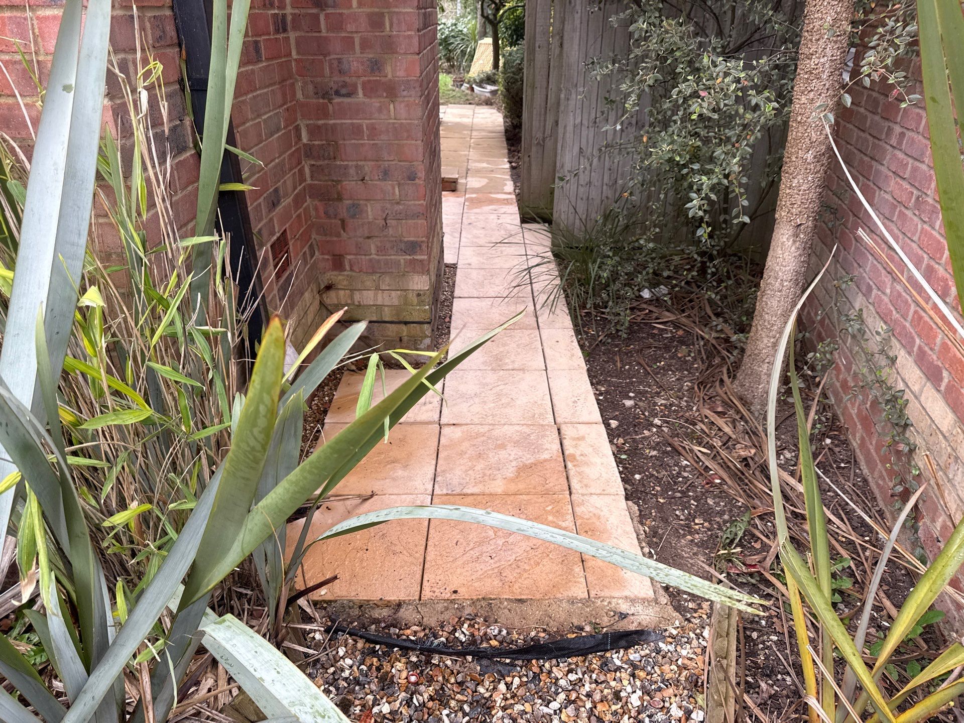 Roof Cleaning by Ges Exterior Cleaning ltd