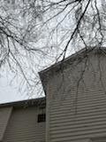 Tree Removal using Tree Removal by Mike Jones & Sons Tree Service LLC 