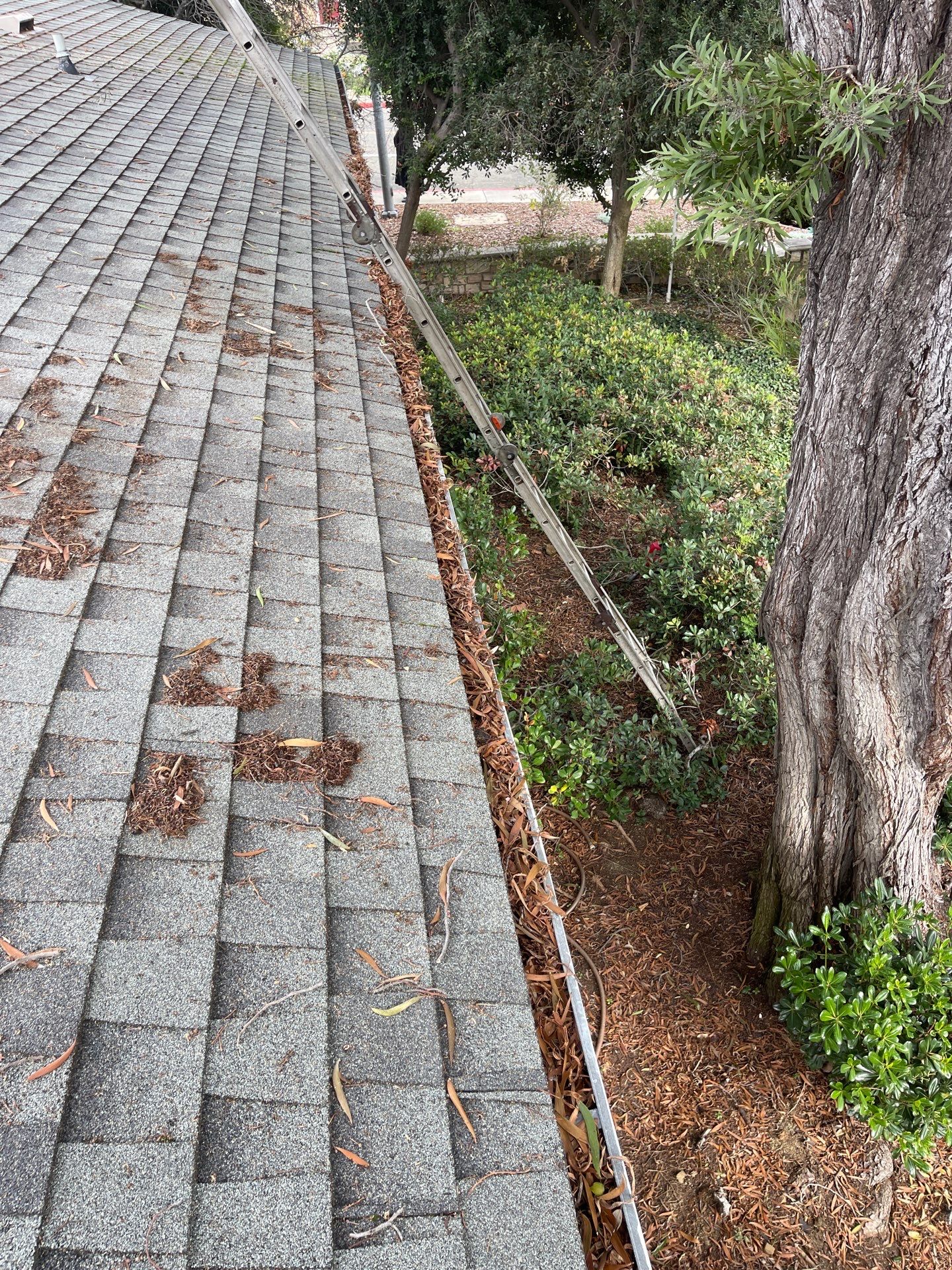 HOA gutter cleaning before Vallejo, CA