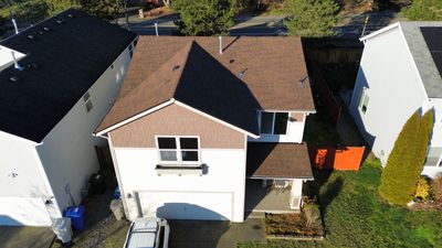 GAF Timberline NS, Hickory