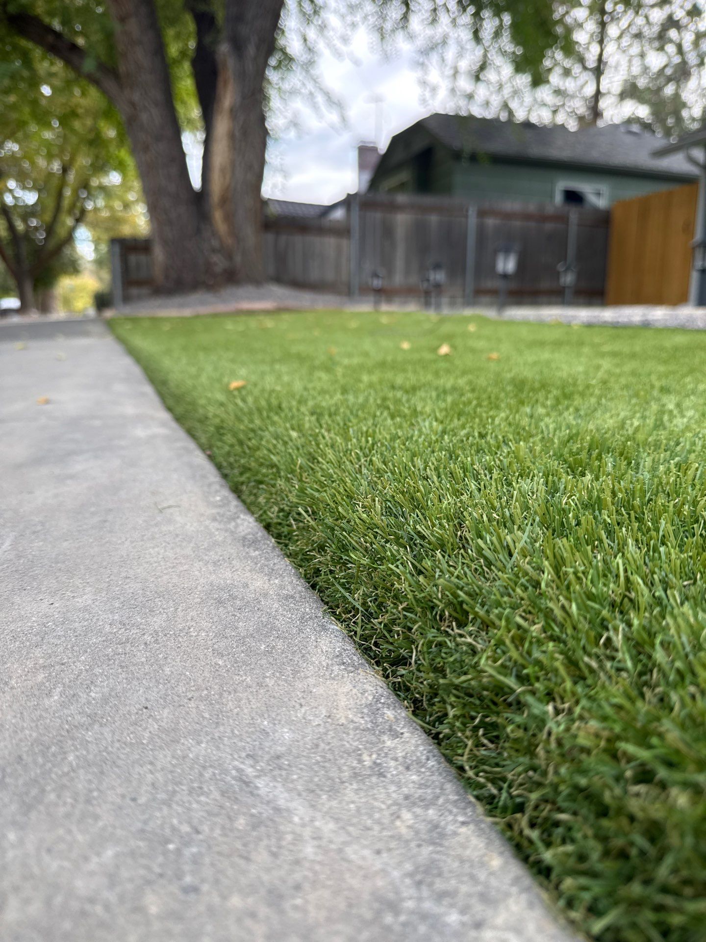 Boise Residential Landscape Renovation With Artificial Turf And Paver Walkways by Synlawn Idaho