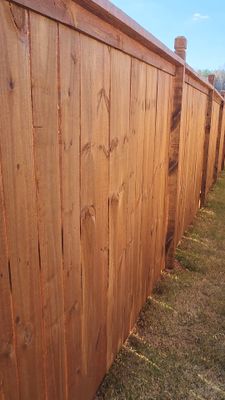 Fence Staining using Chestnut by SSE