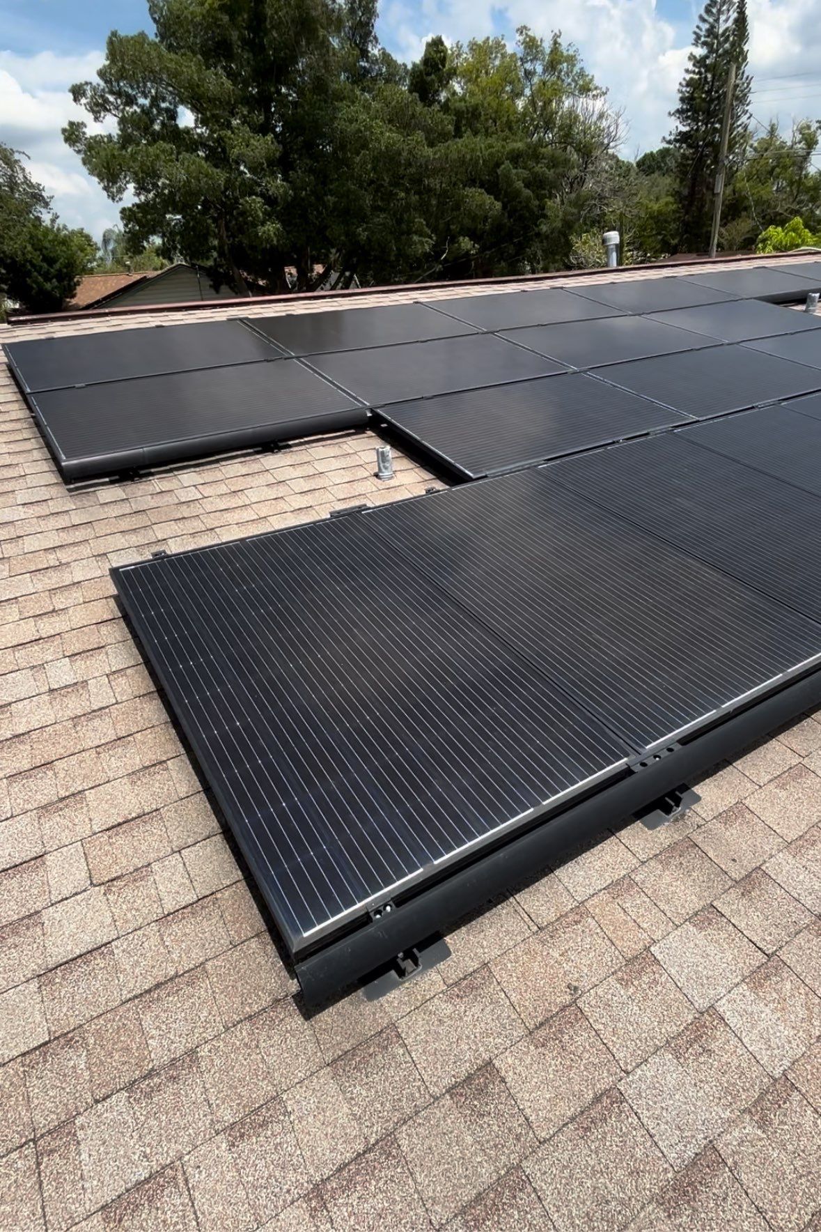 Silver Birch Shingles by Reimagine Roofing