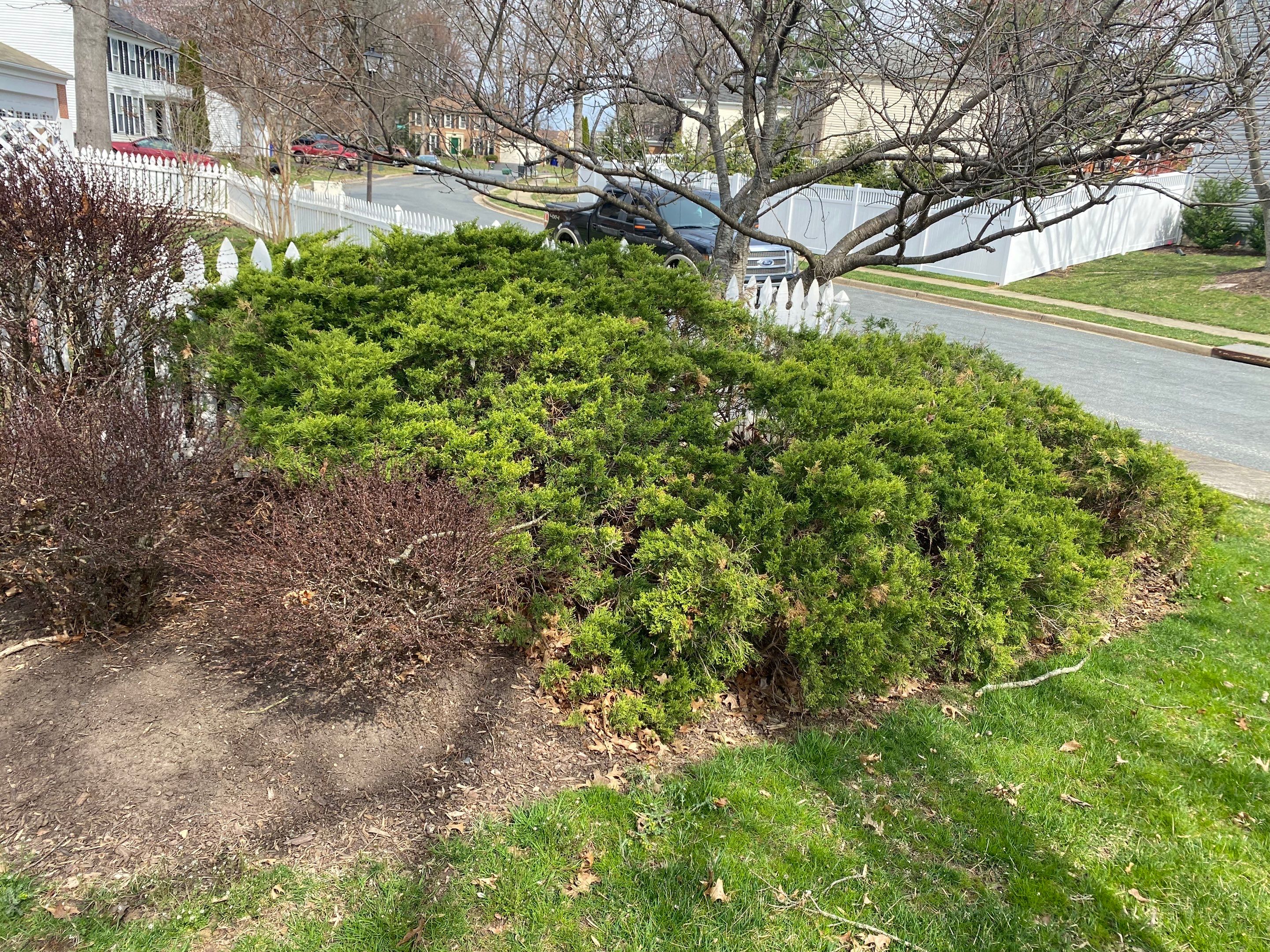 Landscape Design and Cleanup by The Smet Companies, LLC