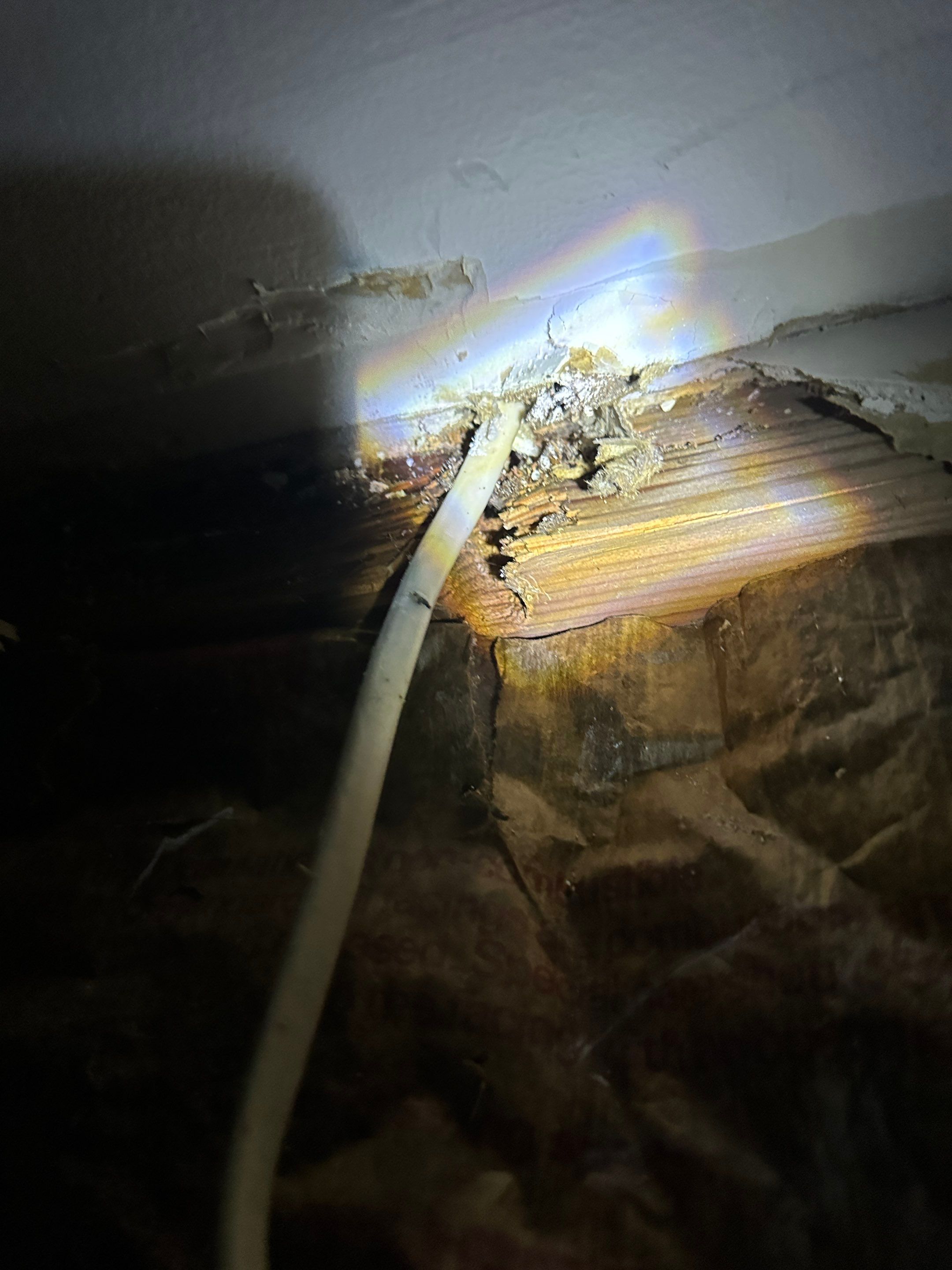 Basement Mold Remediation by Home Guarantee, LLC