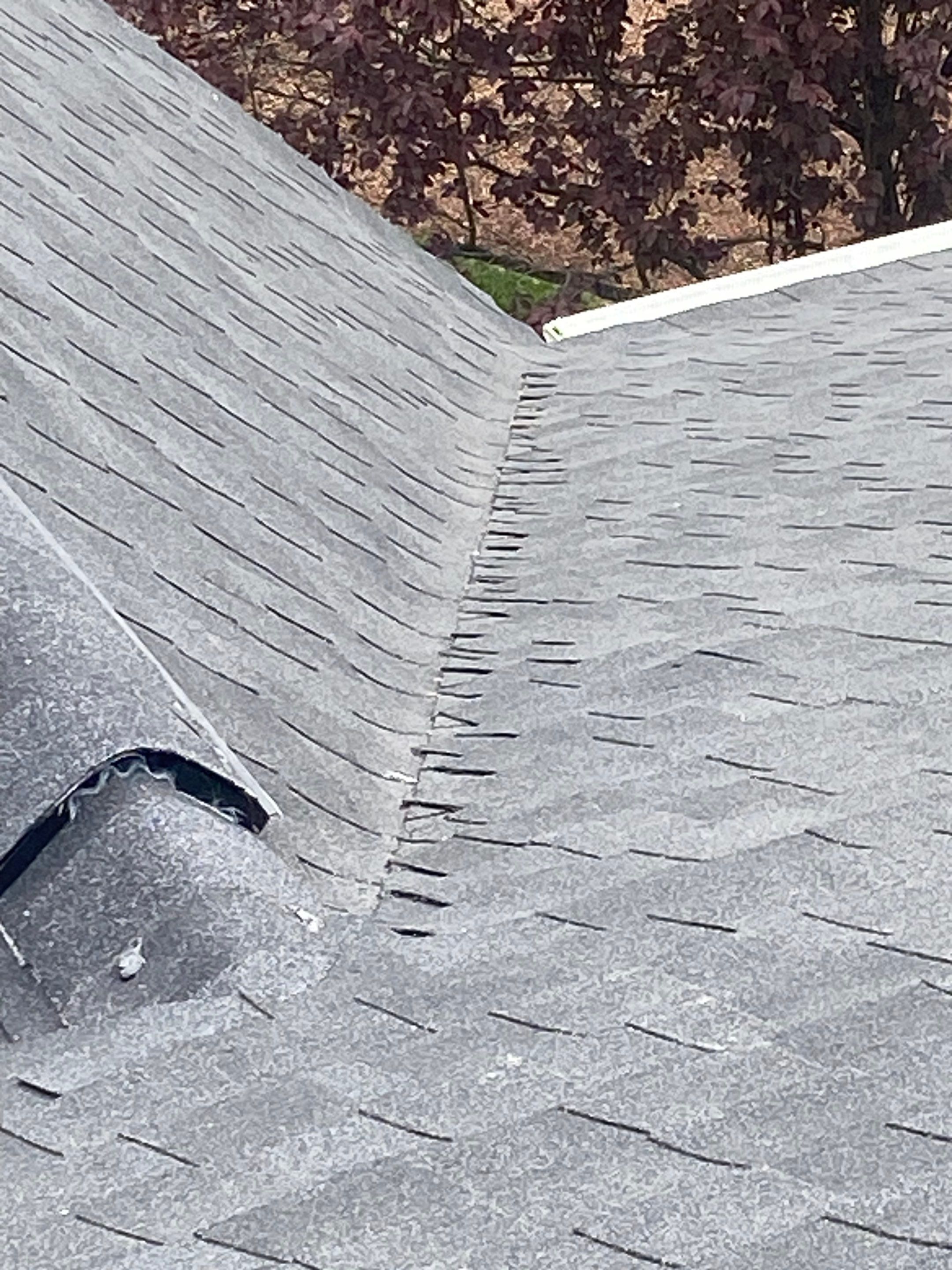 Springfield: CertainTeed Landmark Pro Designer Shingles in Max Def Charcoal Black by RM Banning, Inc.