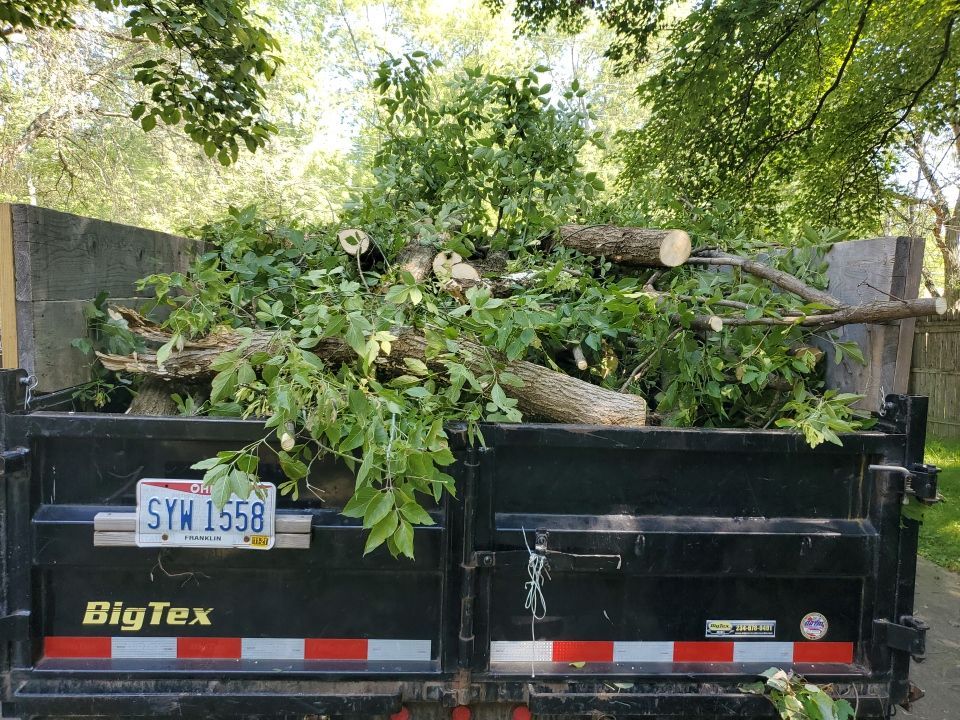 Storm Damaged Tree Removal  by Mike Jones & Sons Tree Service LLC 