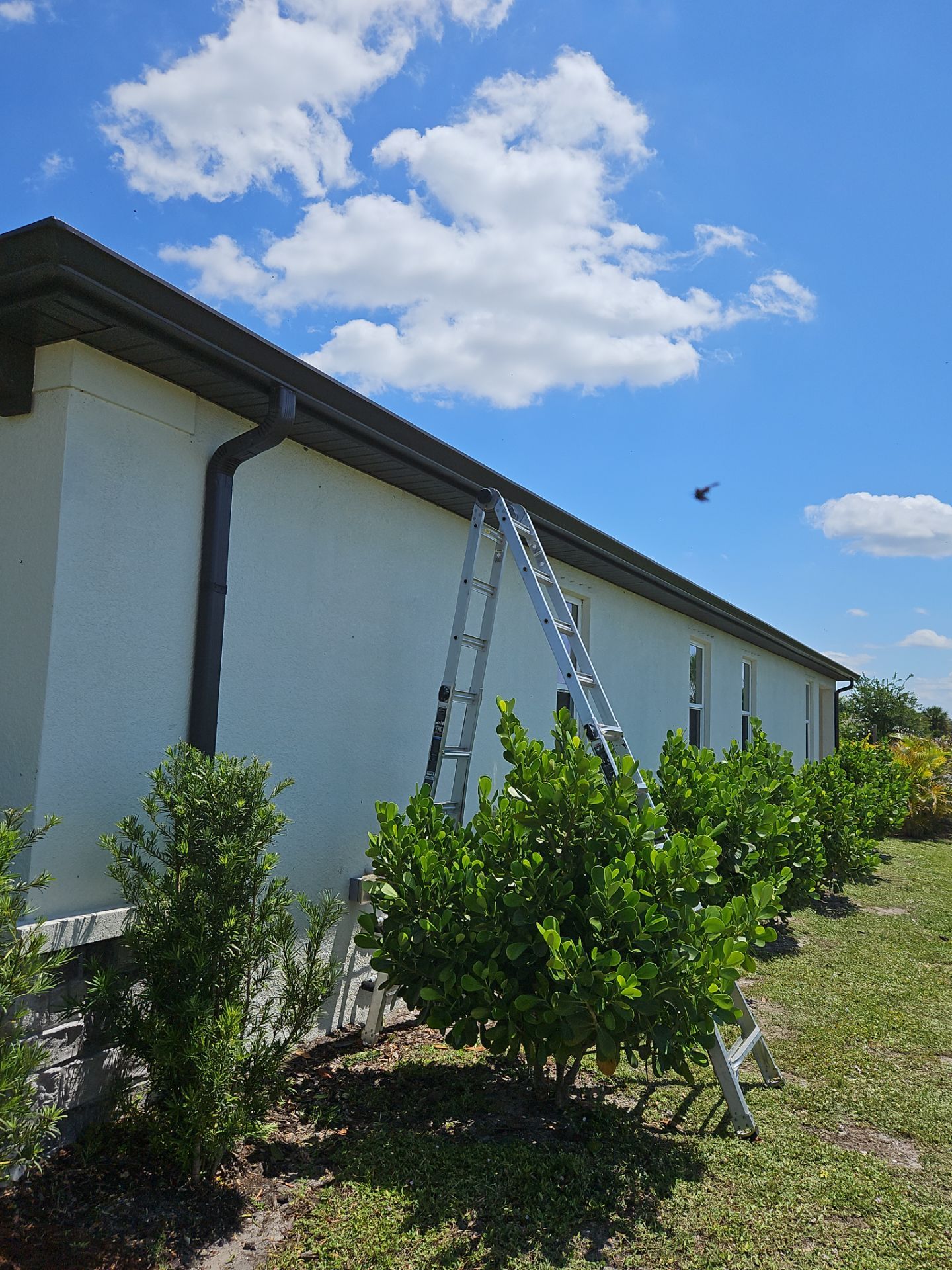 K-Style Seamless Gutter Installation using bronze gutters in Sarasota FL by Gutter Professors