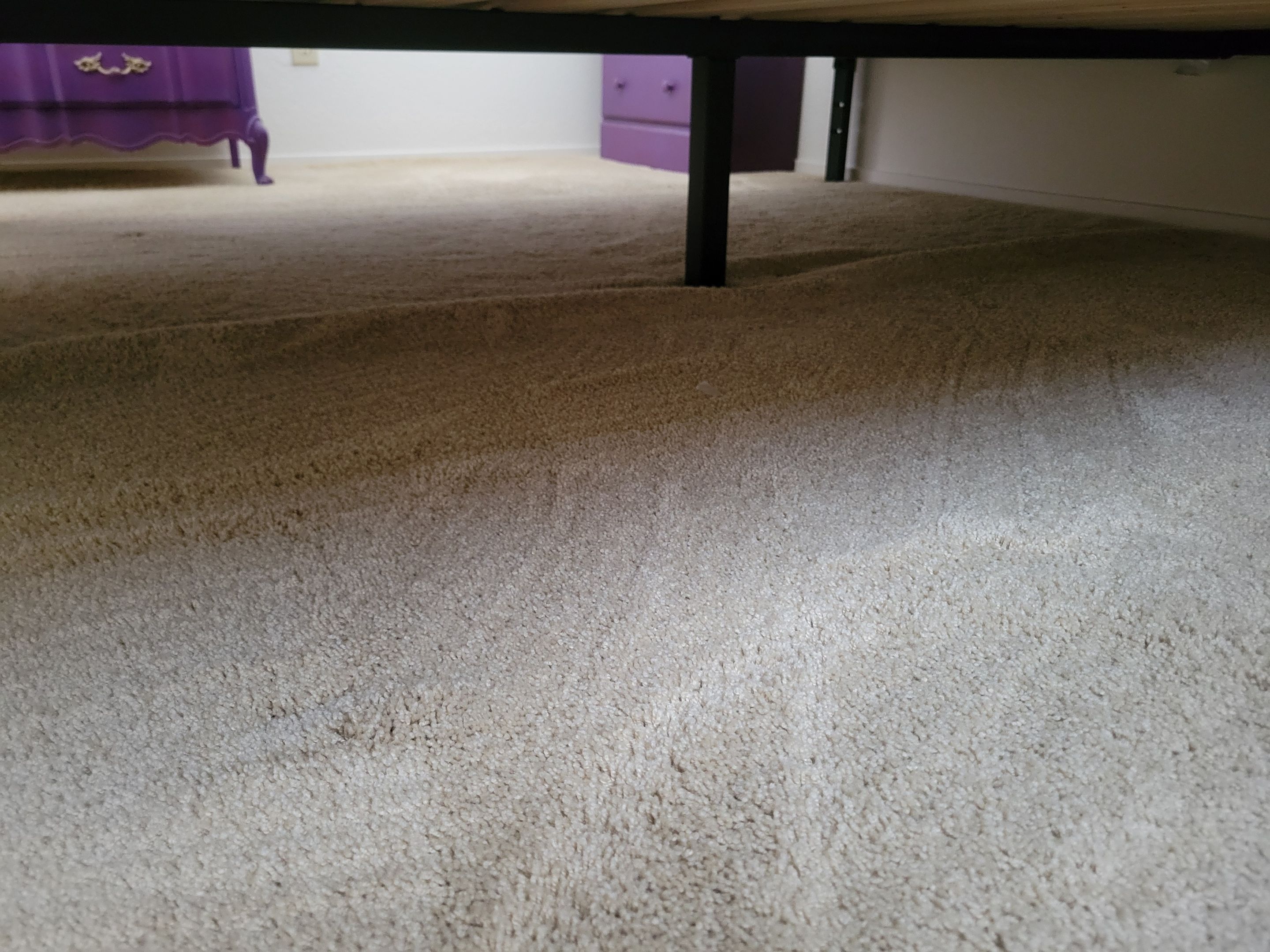 Carpet Re-stretching and Cleaning by Ardent Carpet Restore LLC