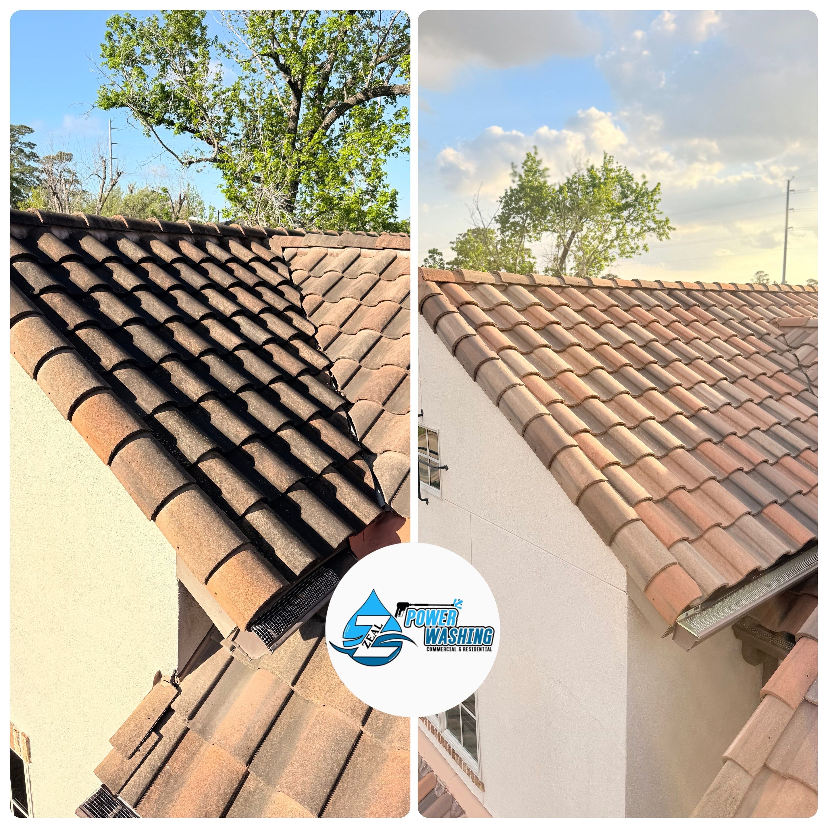 House, Roof, and Window Cleaning by Zeal Power Washing