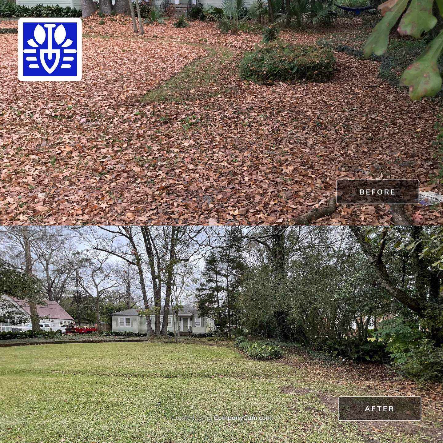 WINTER SERVICES: FULL LEAF JOB by CutScape, LLC.