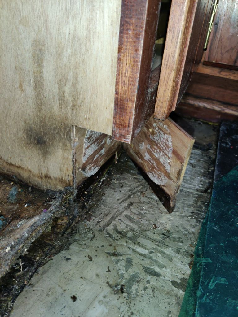 Mold Remediation using Containment by Accountable Home Services