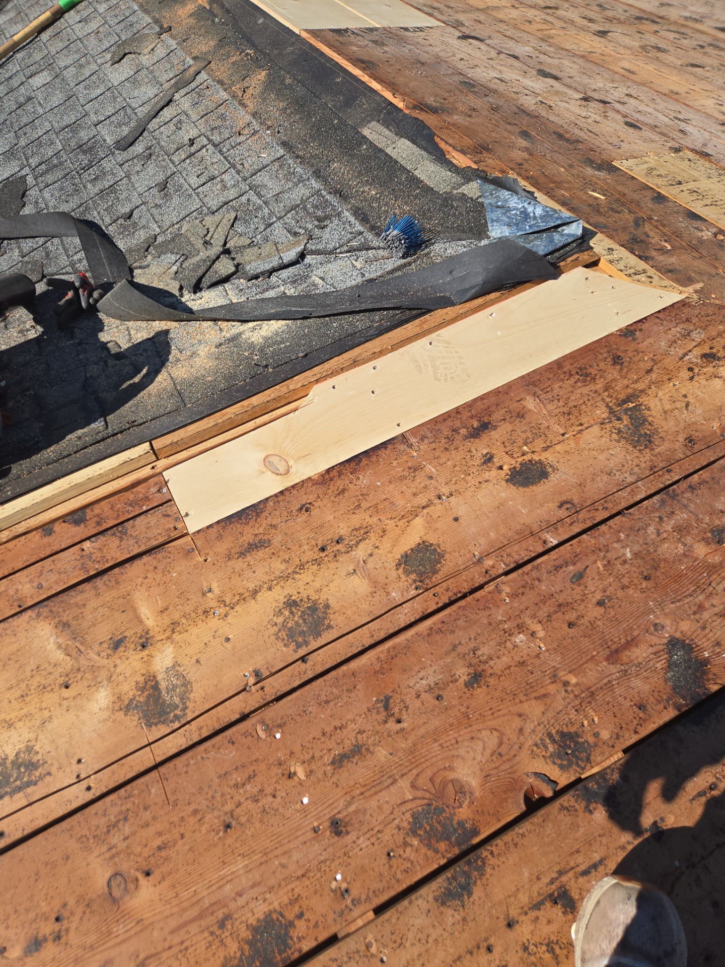 Project in St. Petersburg 33705 by Mitchell Roofing Company LLC 