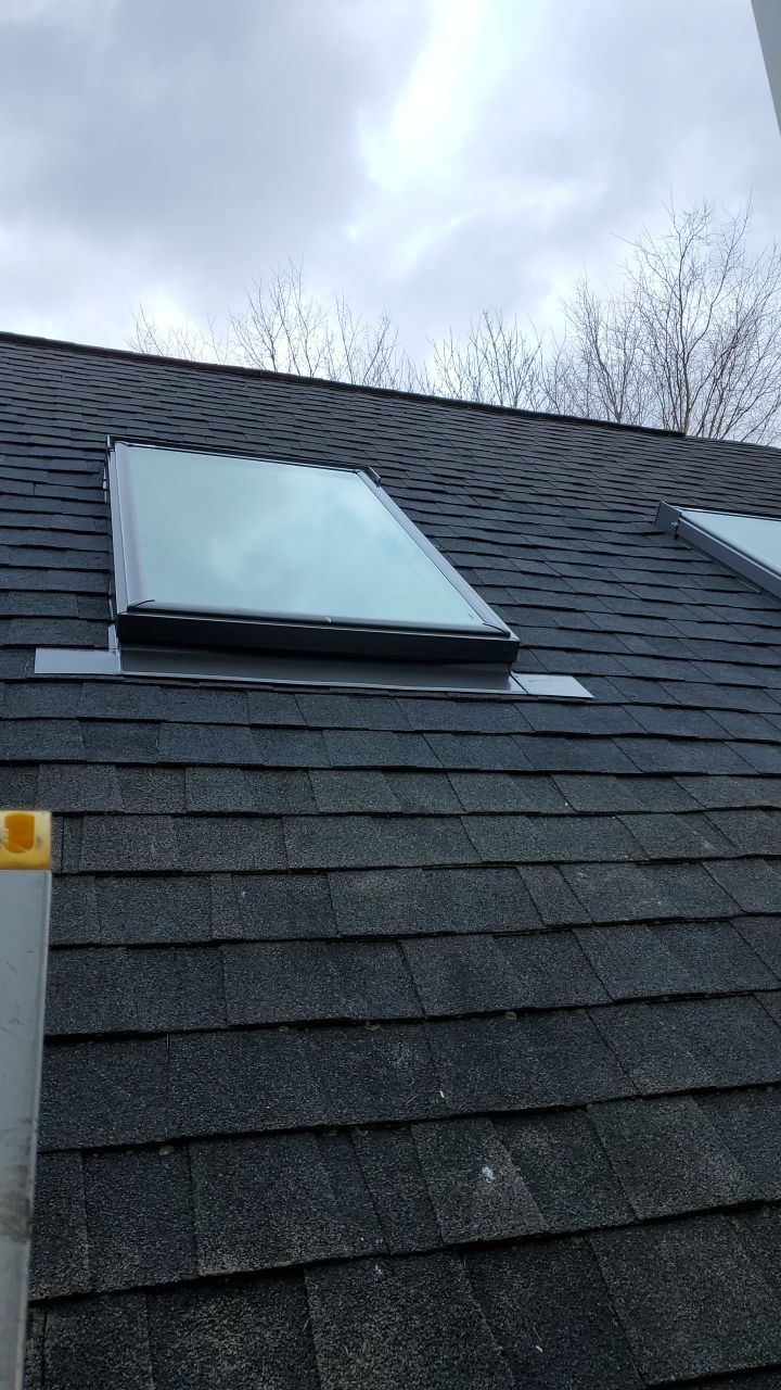Mille Wilcoxson by Silver Leaf Contracting 