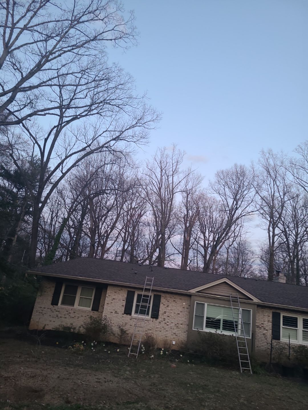 Fairfax: Residential Roof Replacement with CertainTeed Landmark Pro in Max Def Burnt Sienna by RM Banning, Inc.