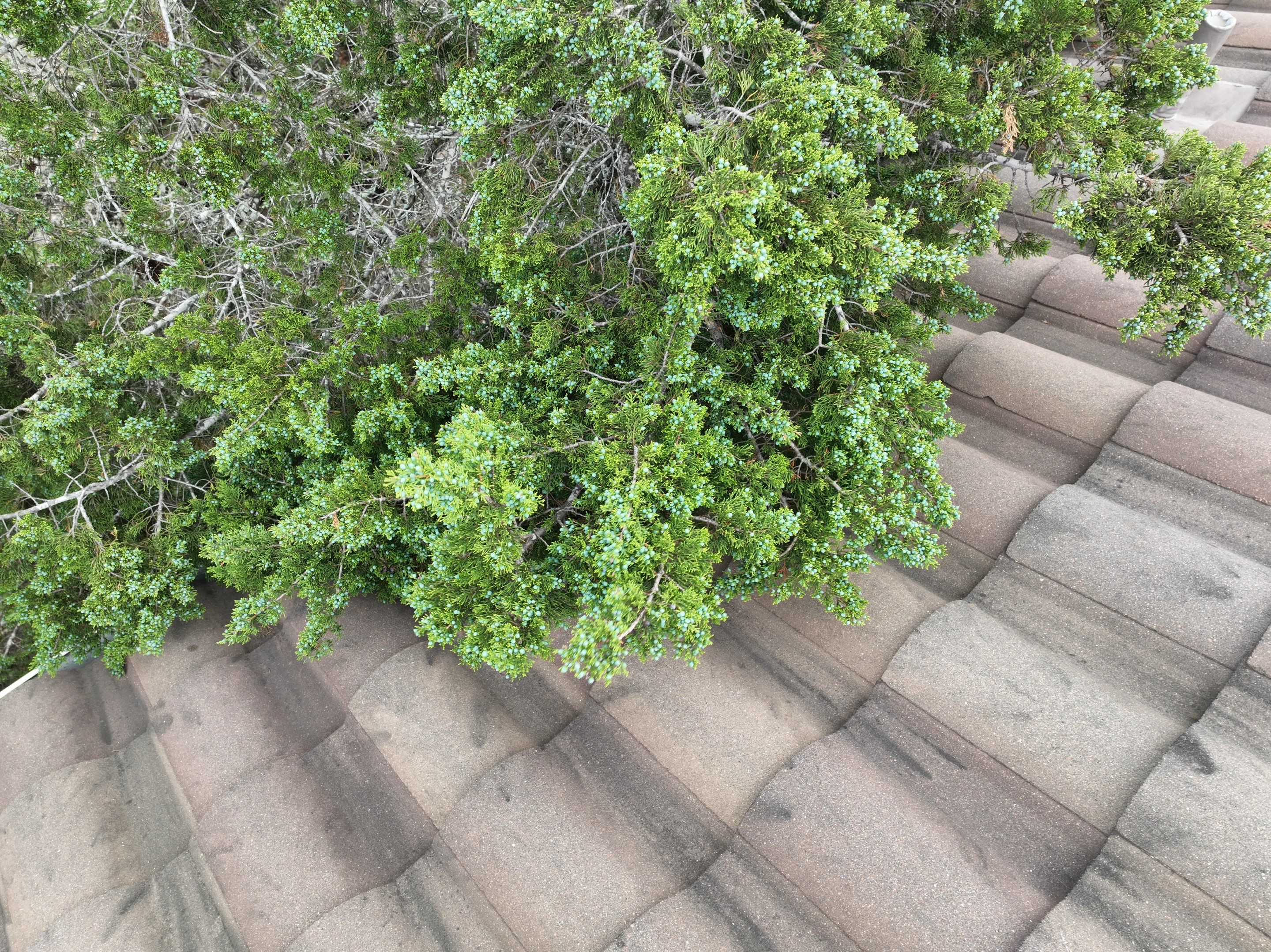 Tile Roof Repair  using Boral Tile by Premier Roofing and Contracting
