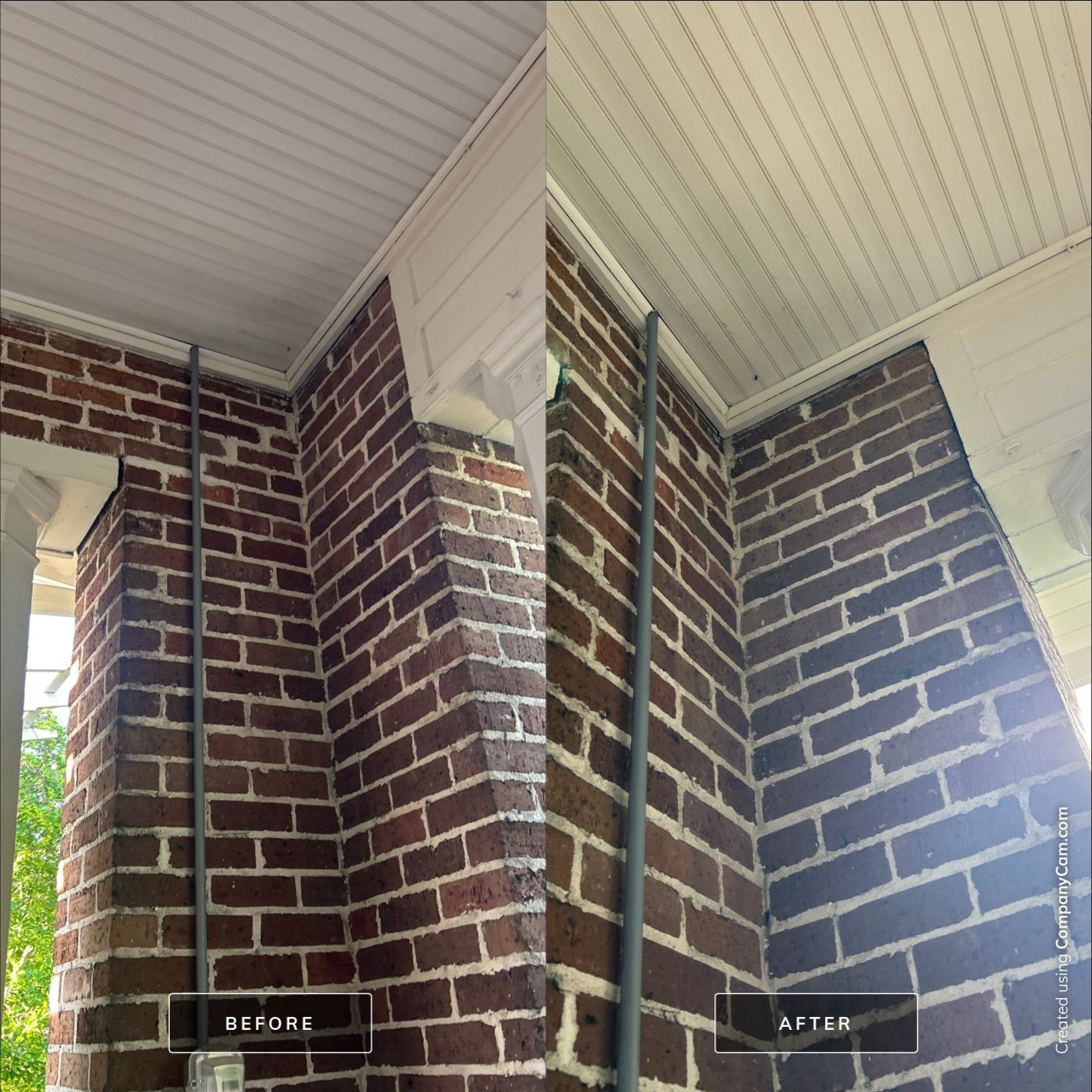 House Washing in Wilmington by Shark Power Washing