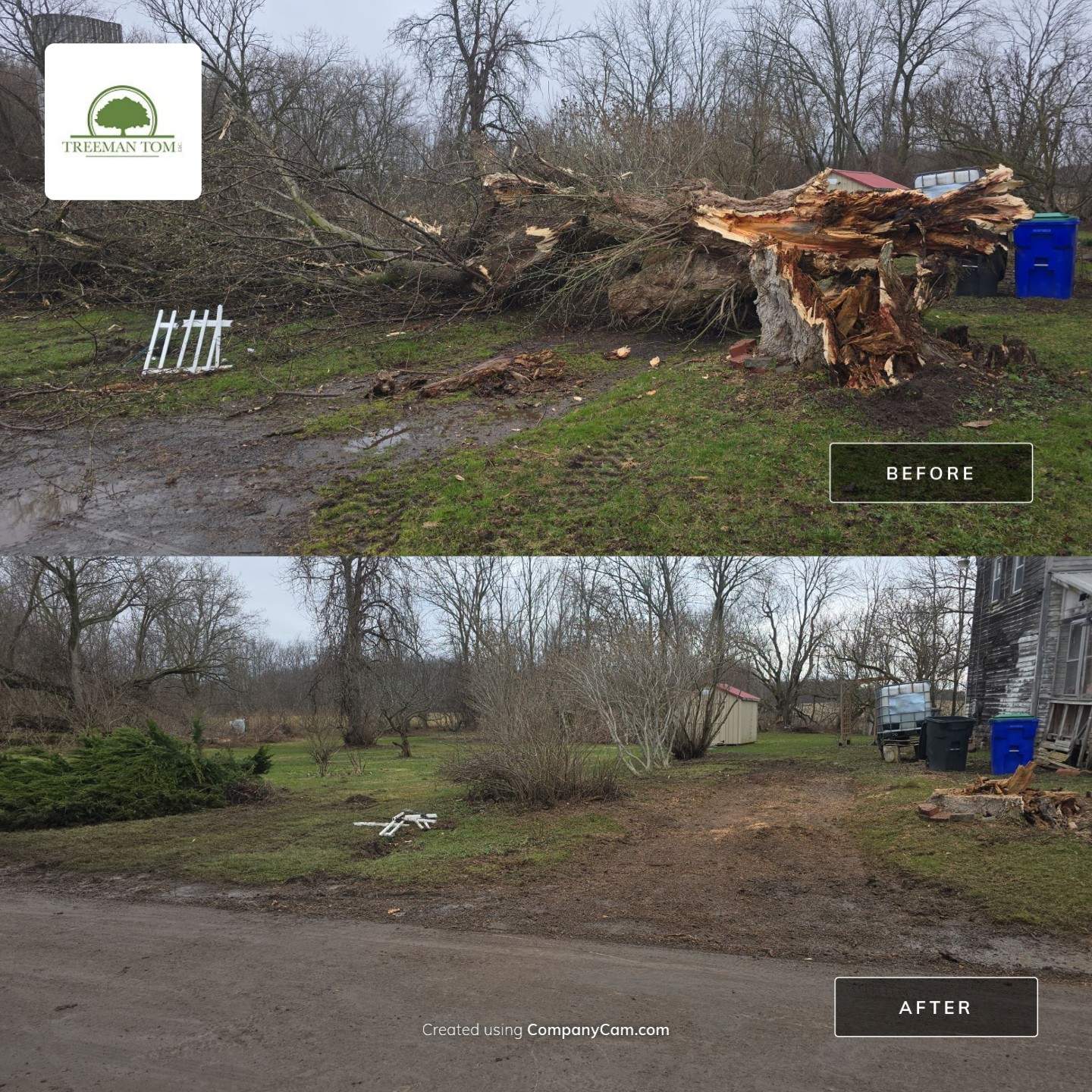 Emergency Job using Bobcat by Treeman Tom LLC