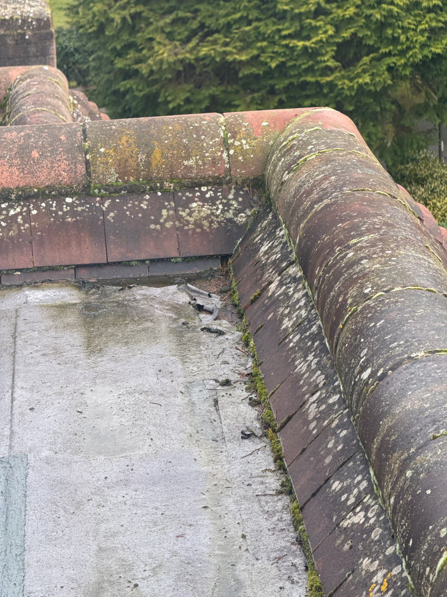 Roof - Driveway - Patio Clean using 18inch Whirlaway FSC by Ges Exterior Cleaning ltd