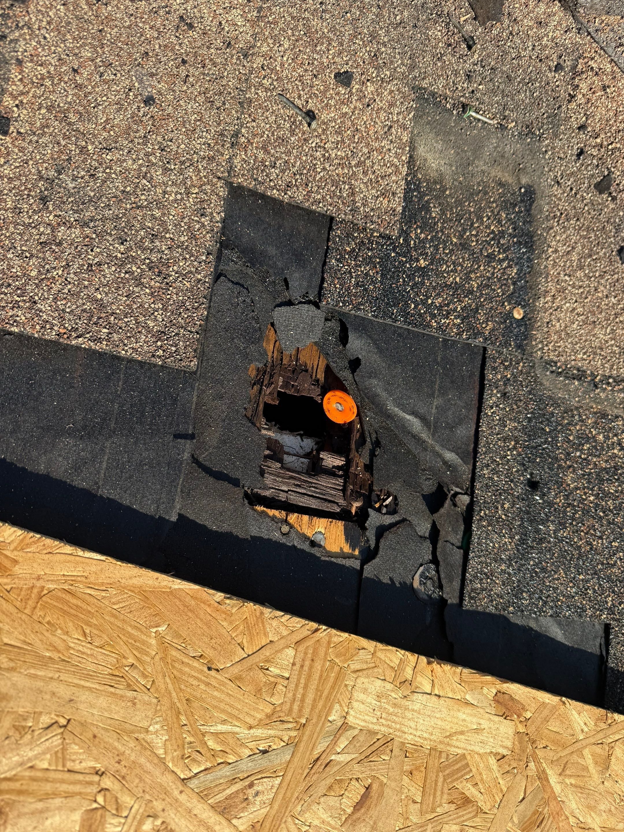 Project in Kissimmee by You Restorations LLC DBA YOU-Home