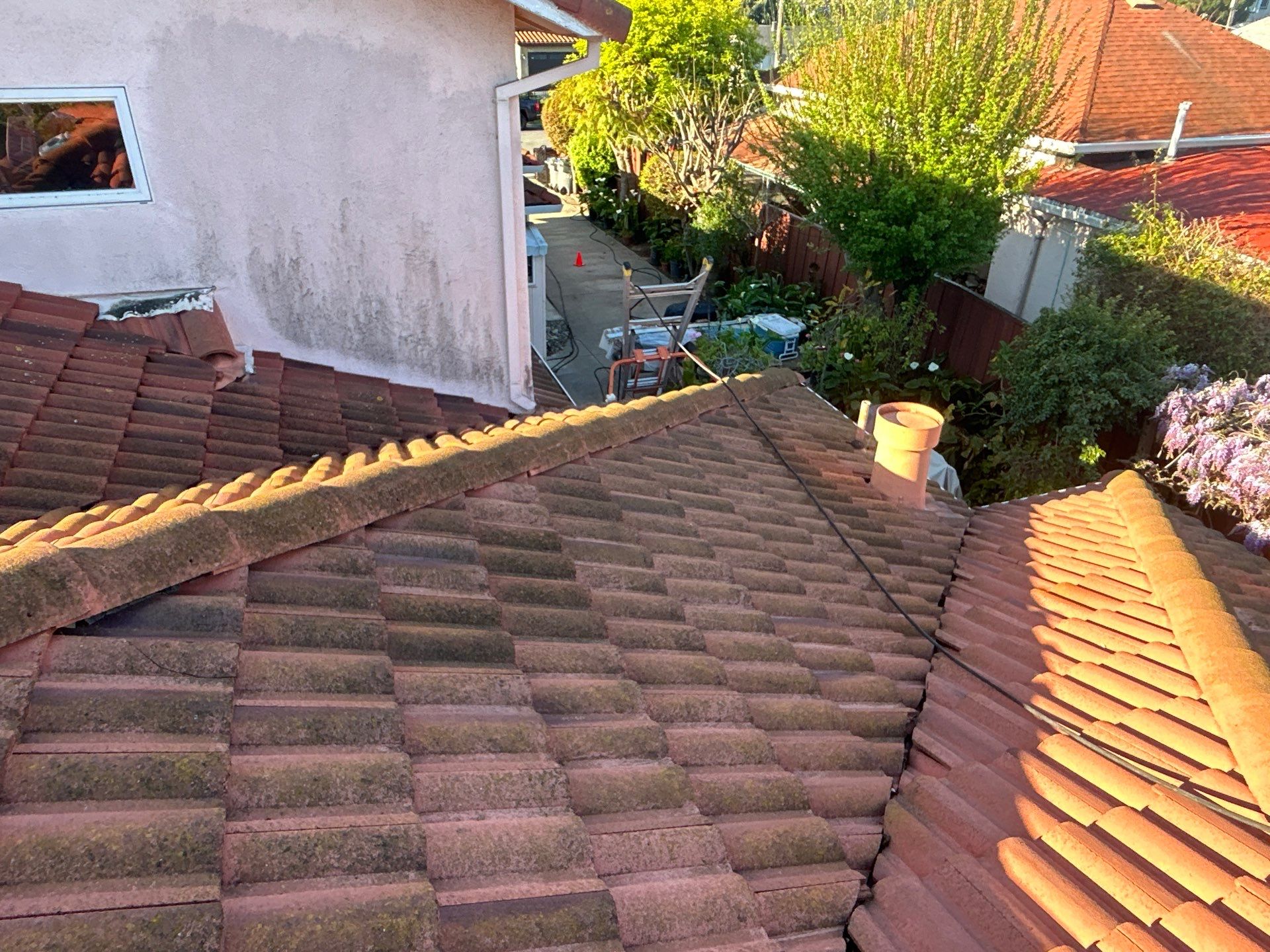 Roof Cleaning-Insurance Renewal by All One Solar Shine