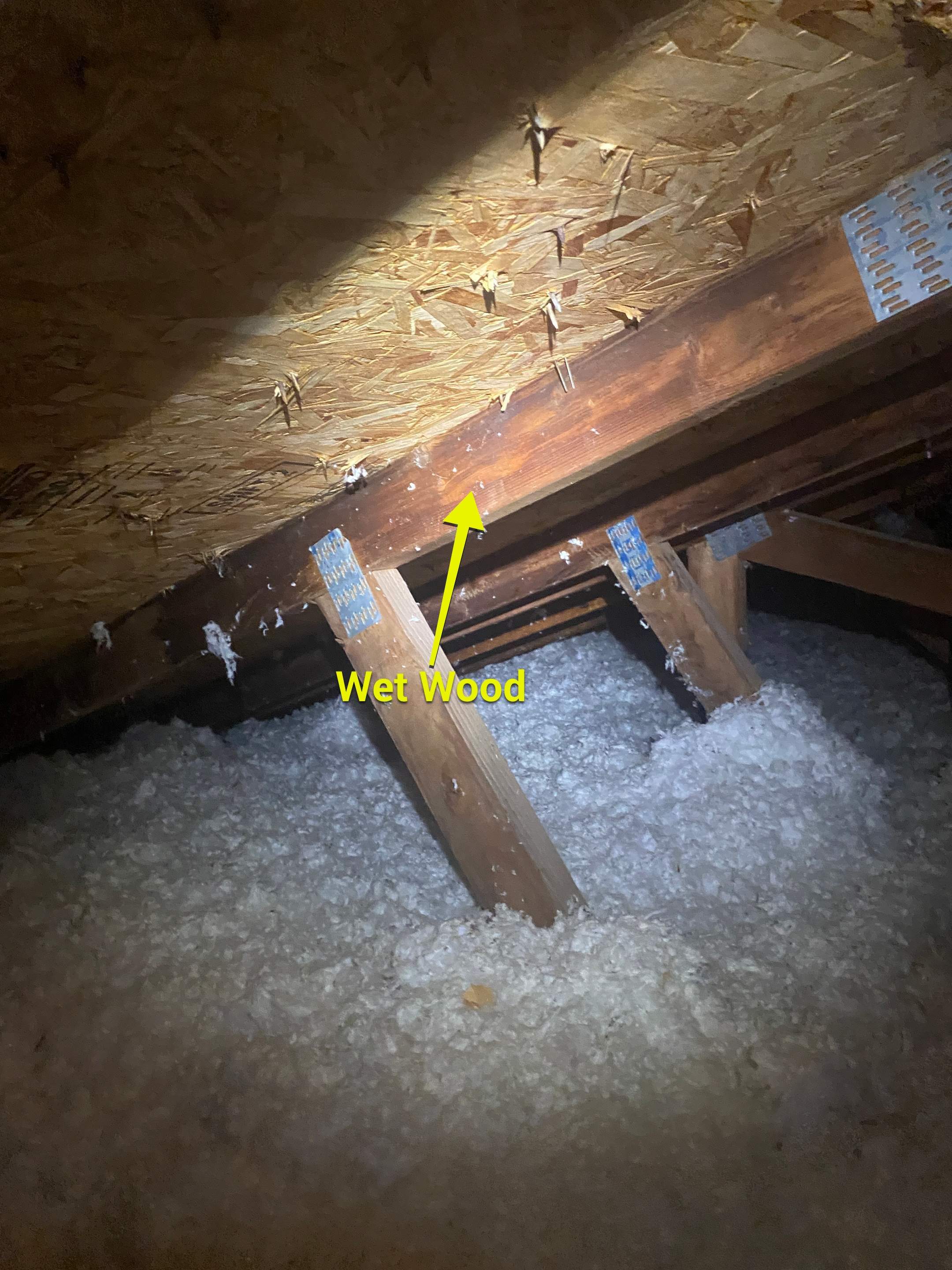 Interior Inspection by ASAP Roofing & Restoration