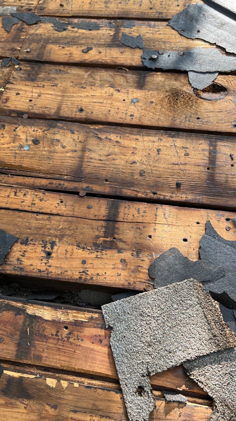 Tight Budget quality Residential Roof Installation by Roof Bullies