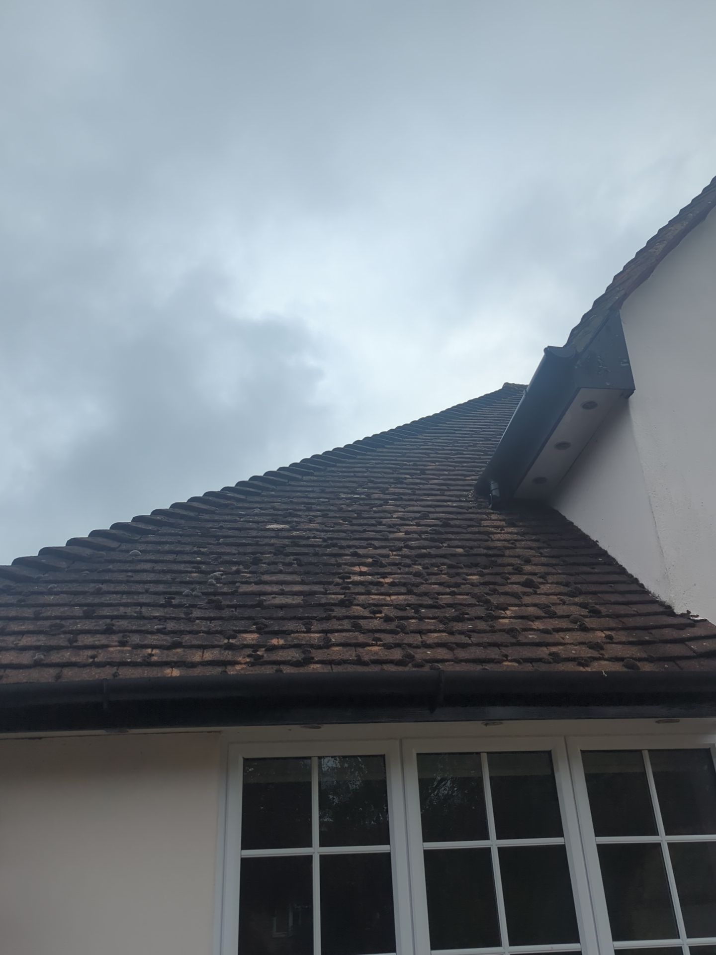 Roof Clean  - Moss Removal - Gutter Clean by Ges Exterior Cleaning ltd