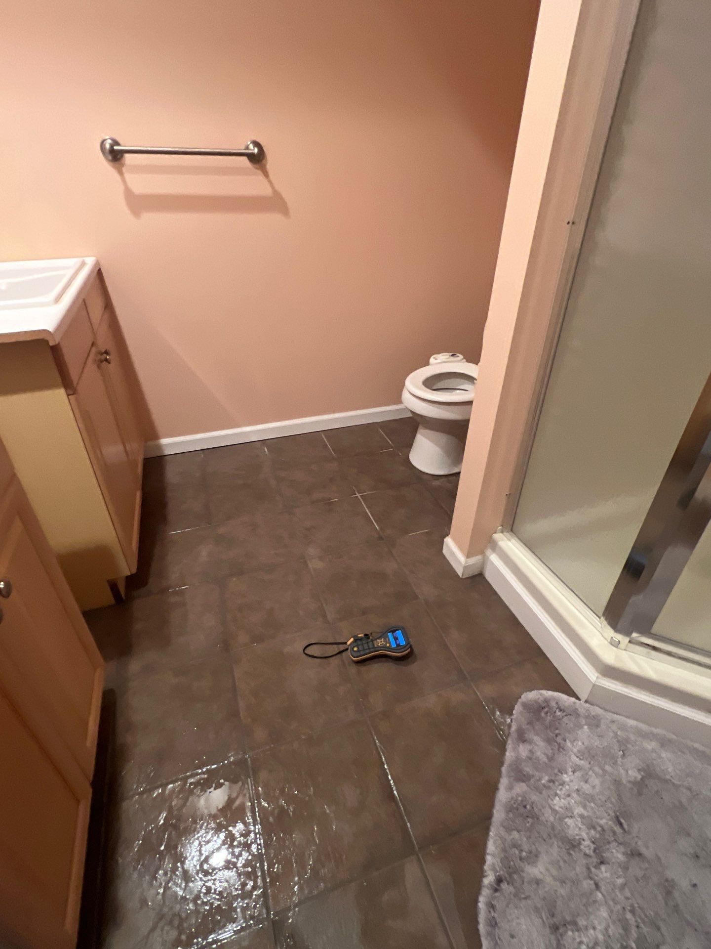 Project in Ann Arbor by EzDry Water Mitigation & Property Restoration