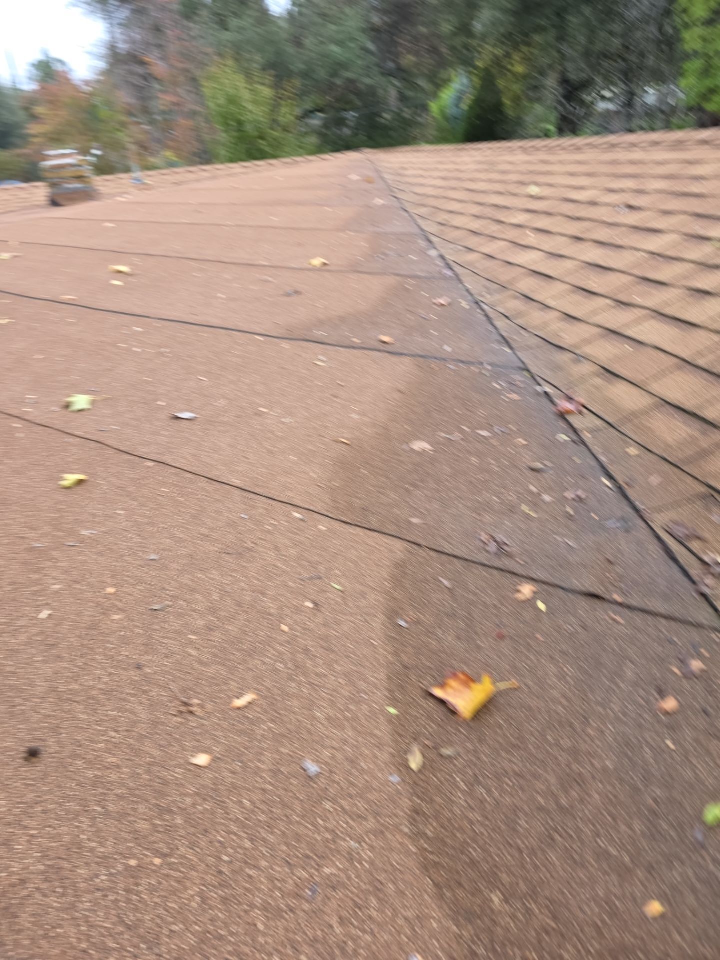 Roof Rejuvenation using Roof Maxx Treatment by Roof Maxx of Folsom