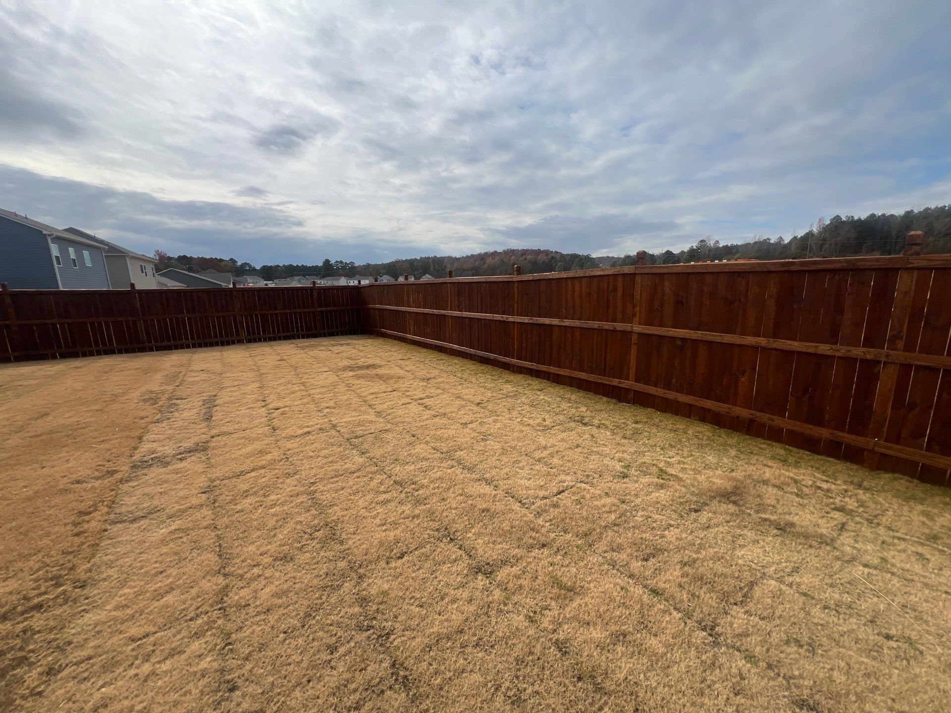 Fence Staining using Chestnut by SSE by Titans of Timber Fence & Stain