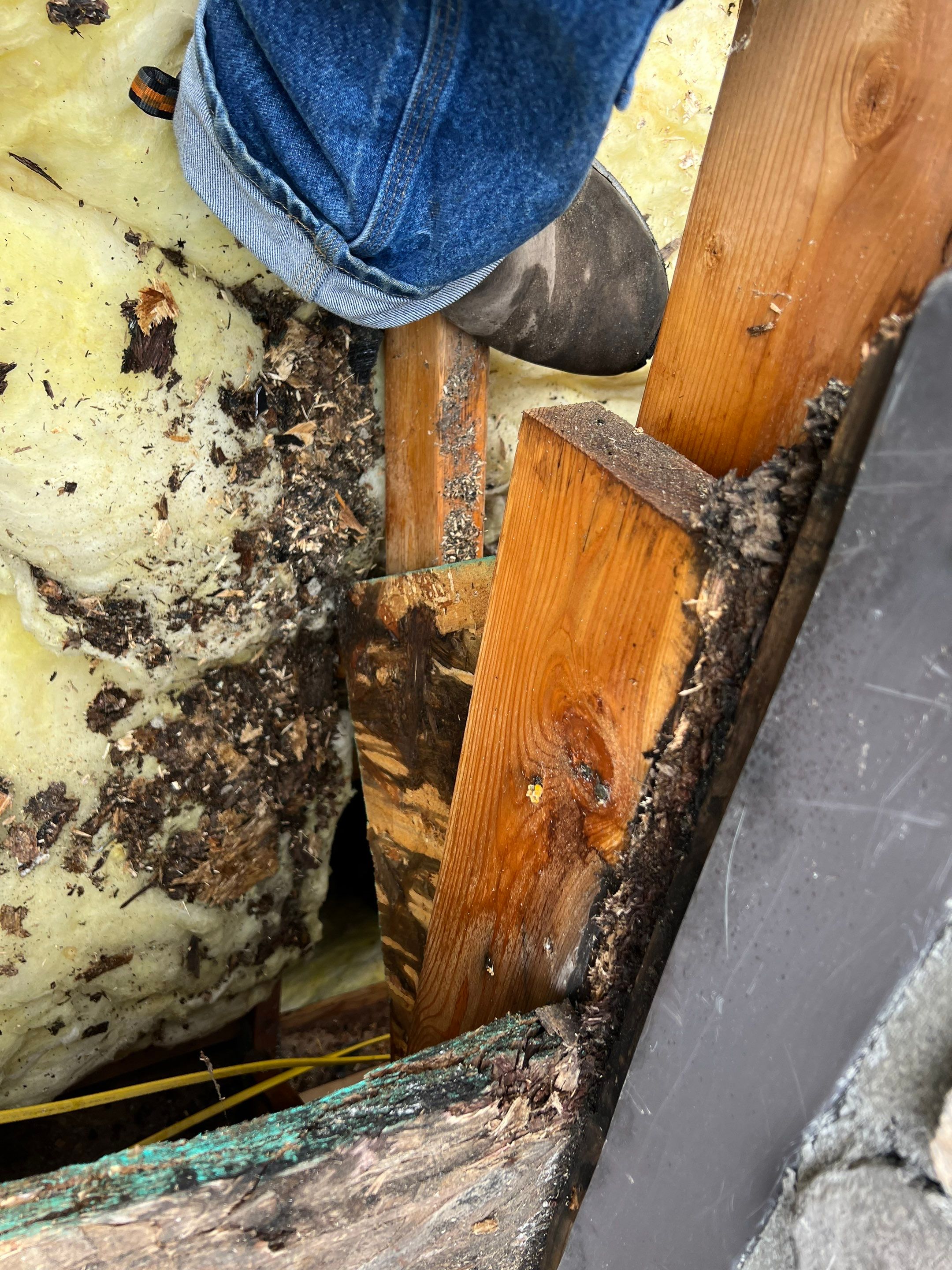 Roof Replacement - Kalispell MT  by Montana Roofing Solutions