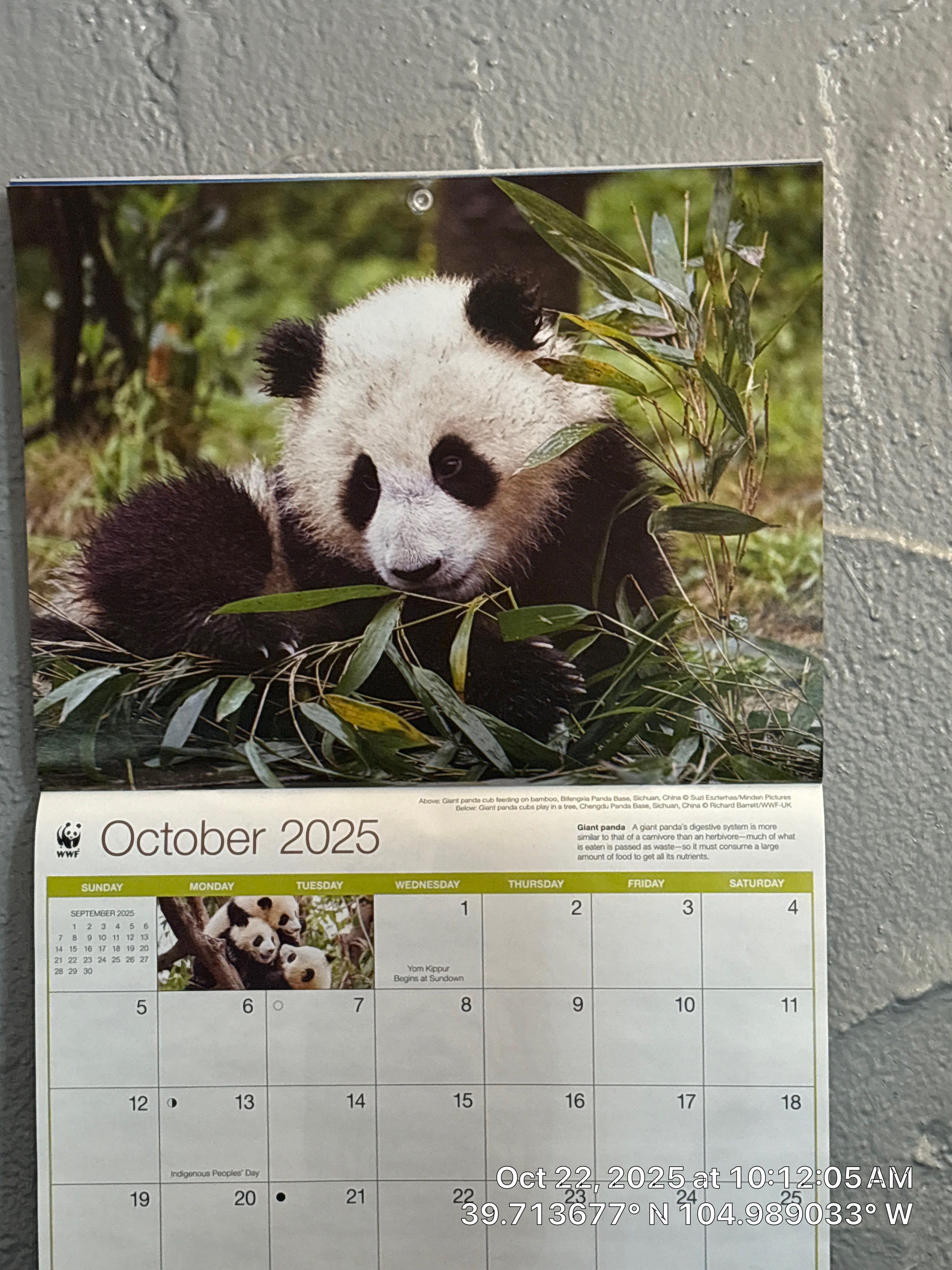 Drew's House by CompanyCam | Account Management Demo Account