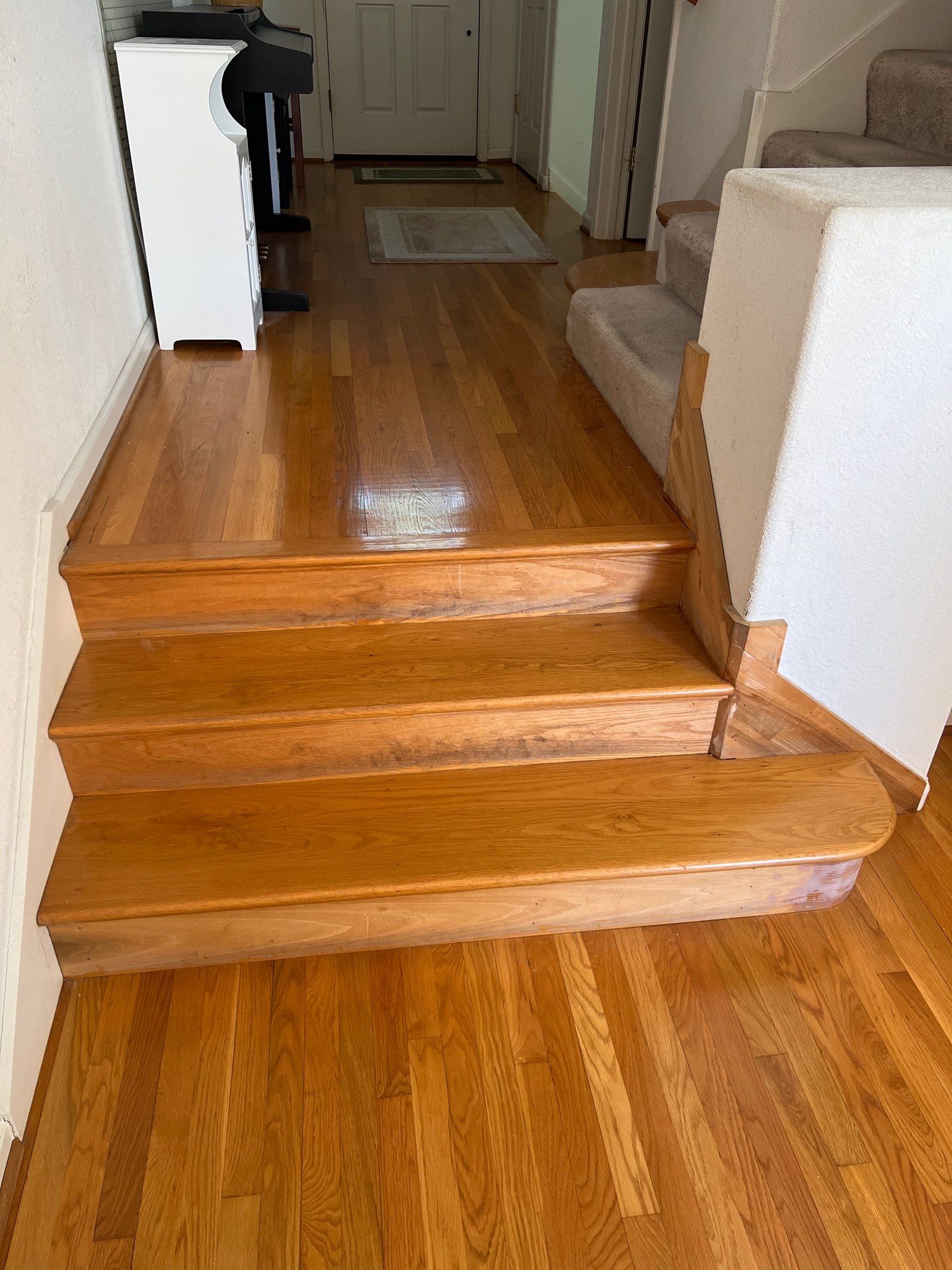 Project Showcase  by Elephant Floors Inc