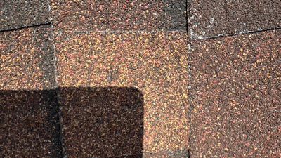 Turtle Shell gutter protection installation in Villa Park, IL 60181, photograph 6